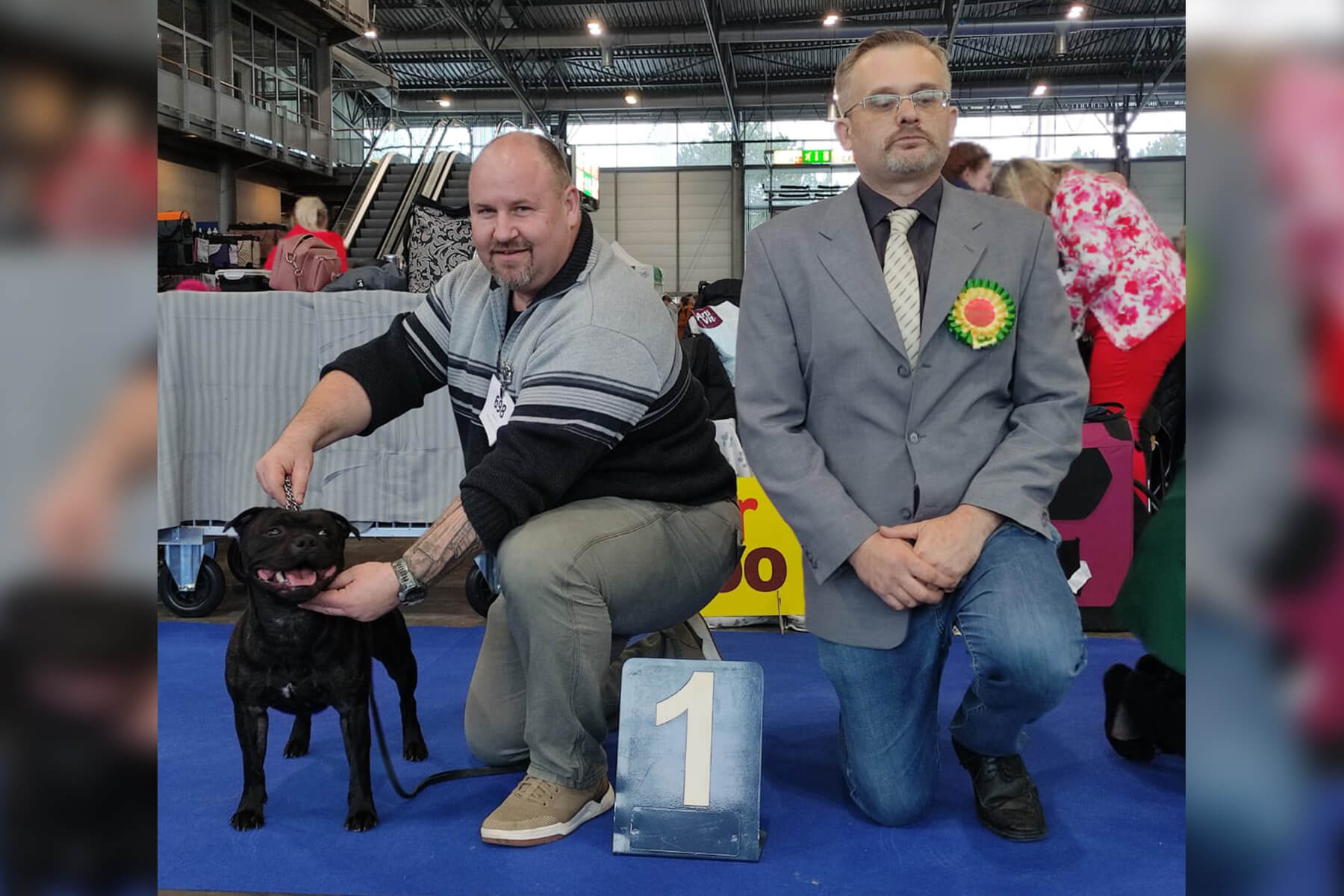 2024 Summary - DOMIDAR DOGS Kennel