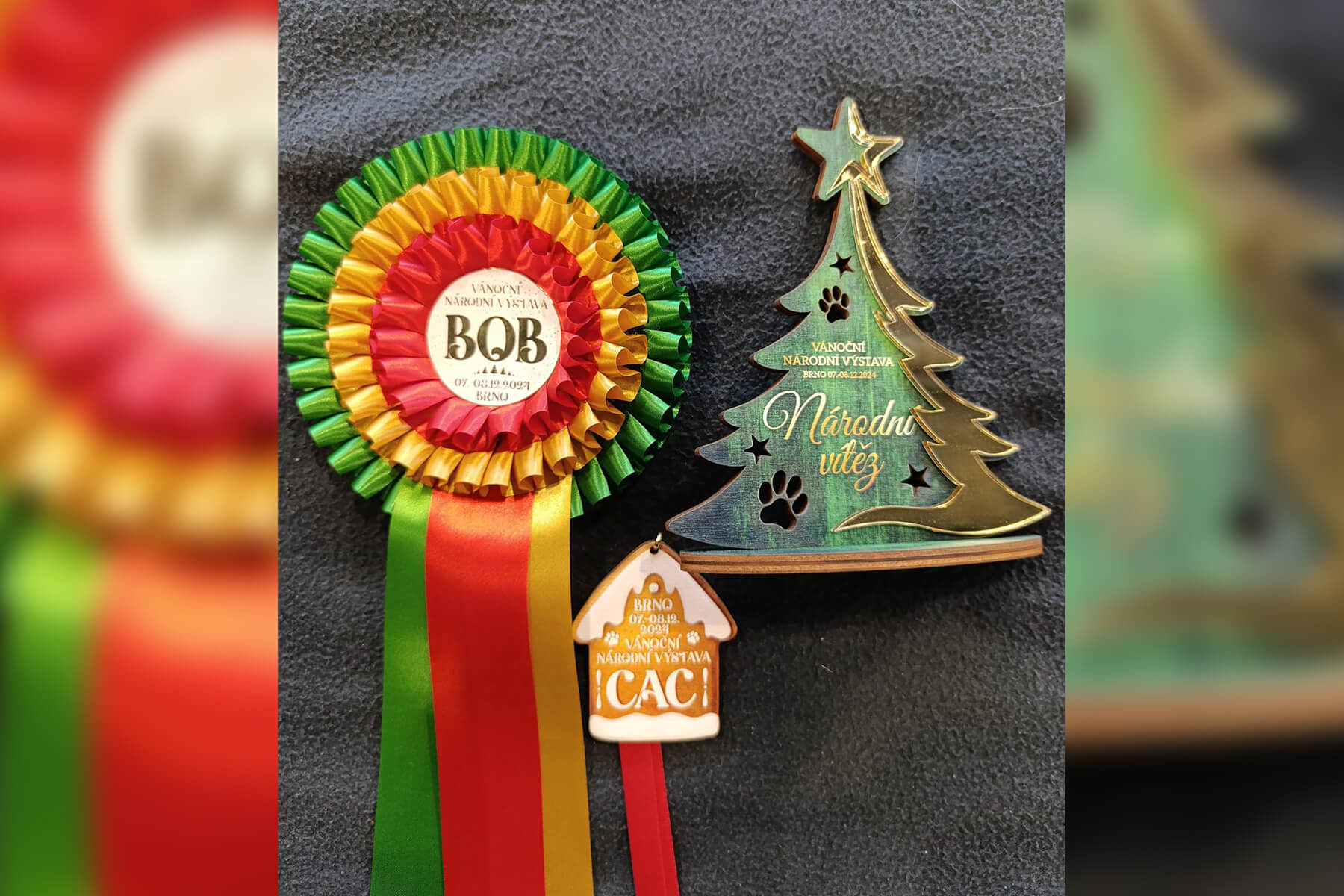 2024 Summary - DOMIDAR DOGS Kennel