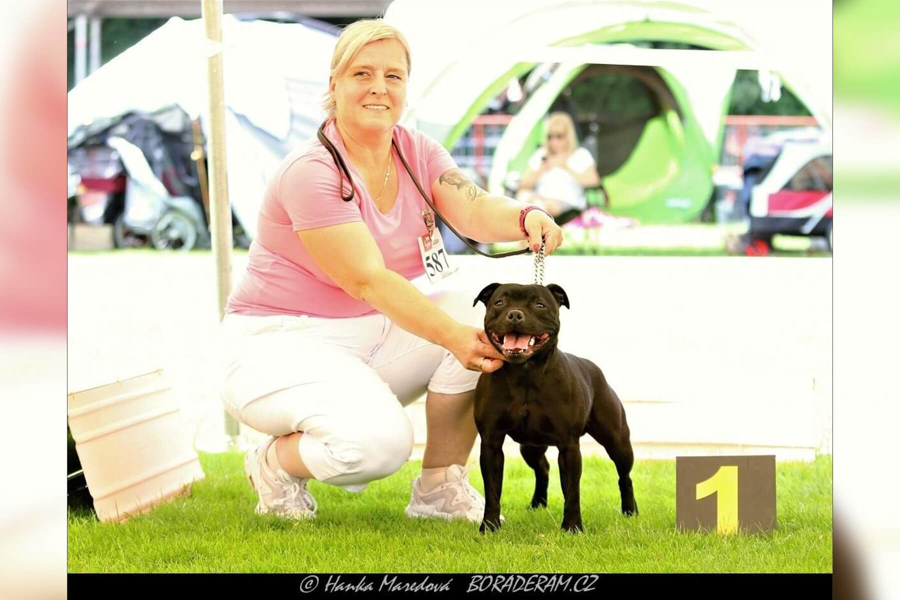 2024 Summary - DOMIDAR DOGS Kennel