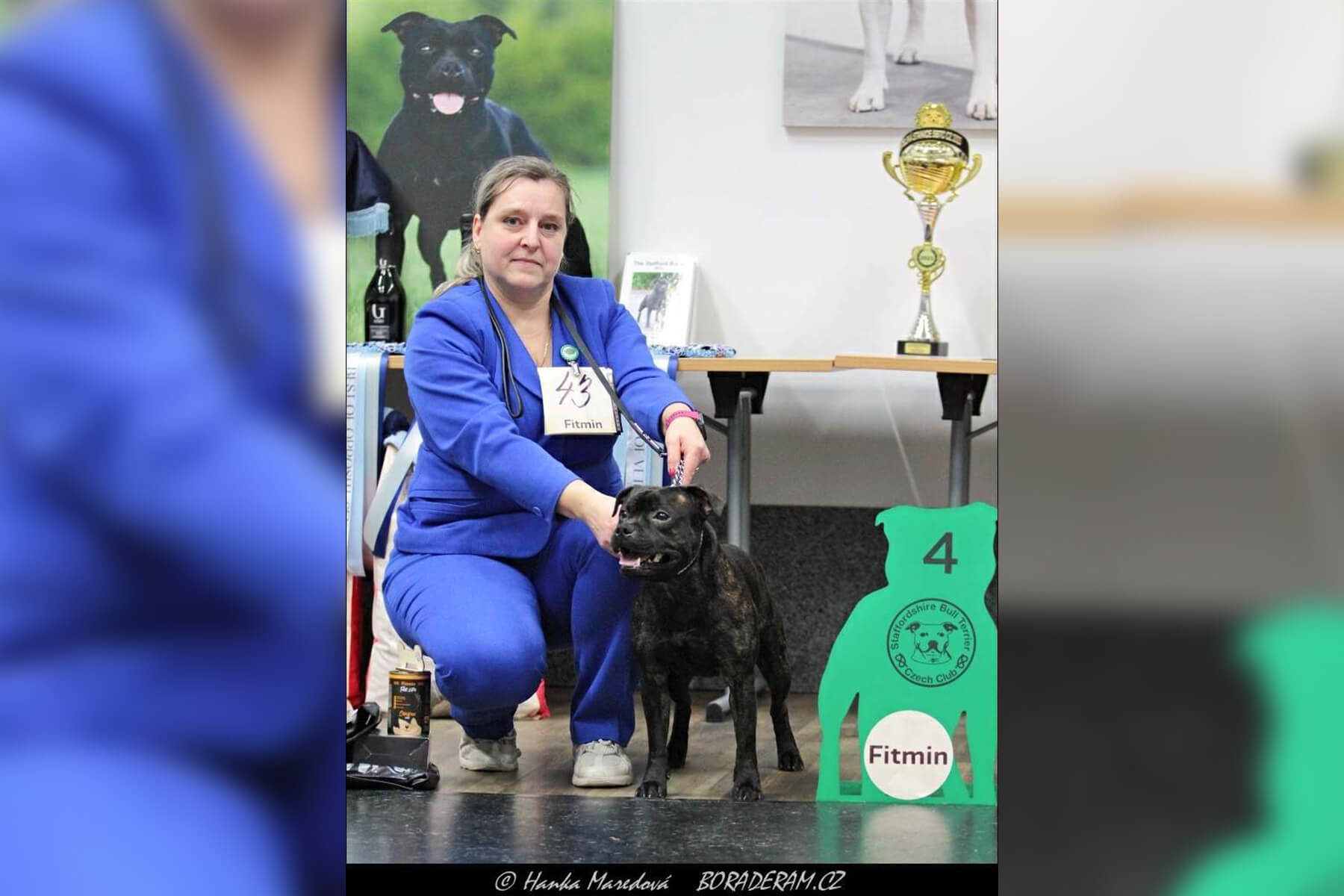 2024 Summary - DOMIDAR DOGS Kennel