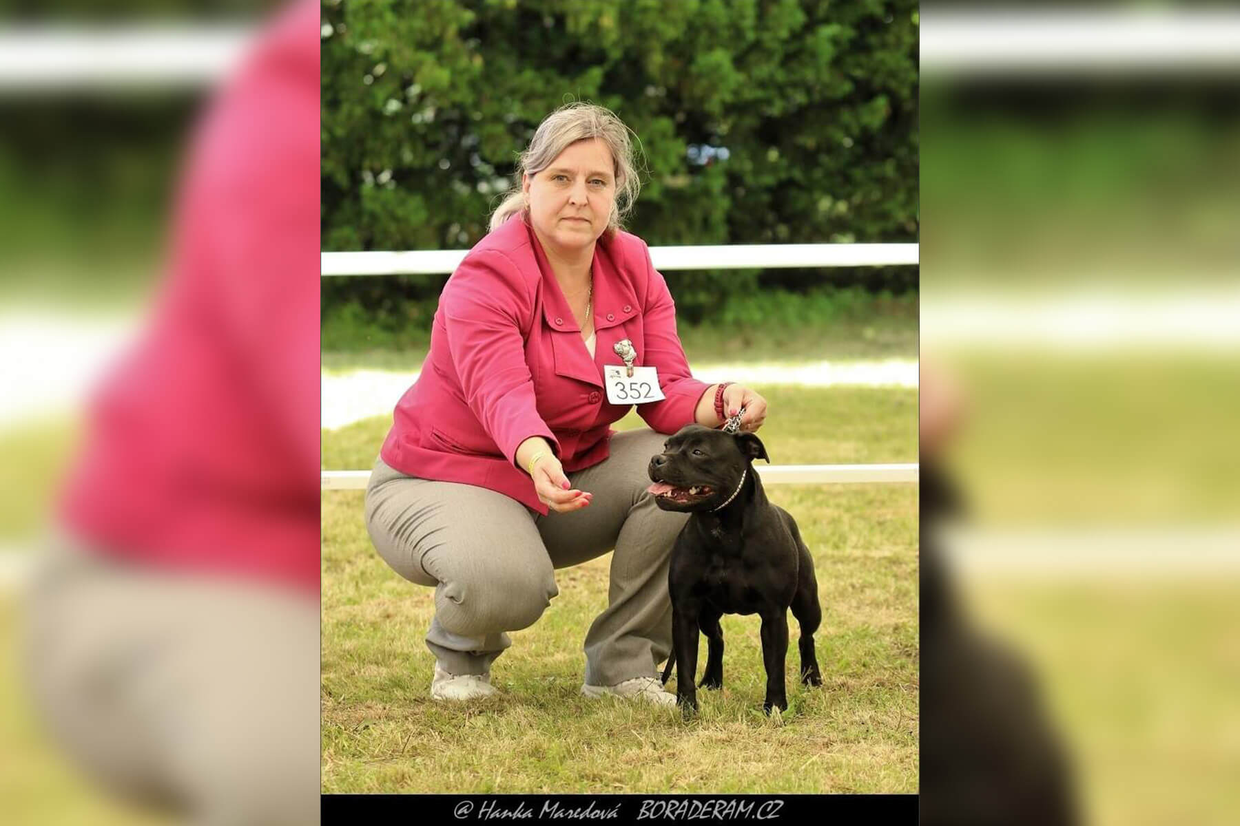 2024 Summary - DOMIDAR DOGS Kennel