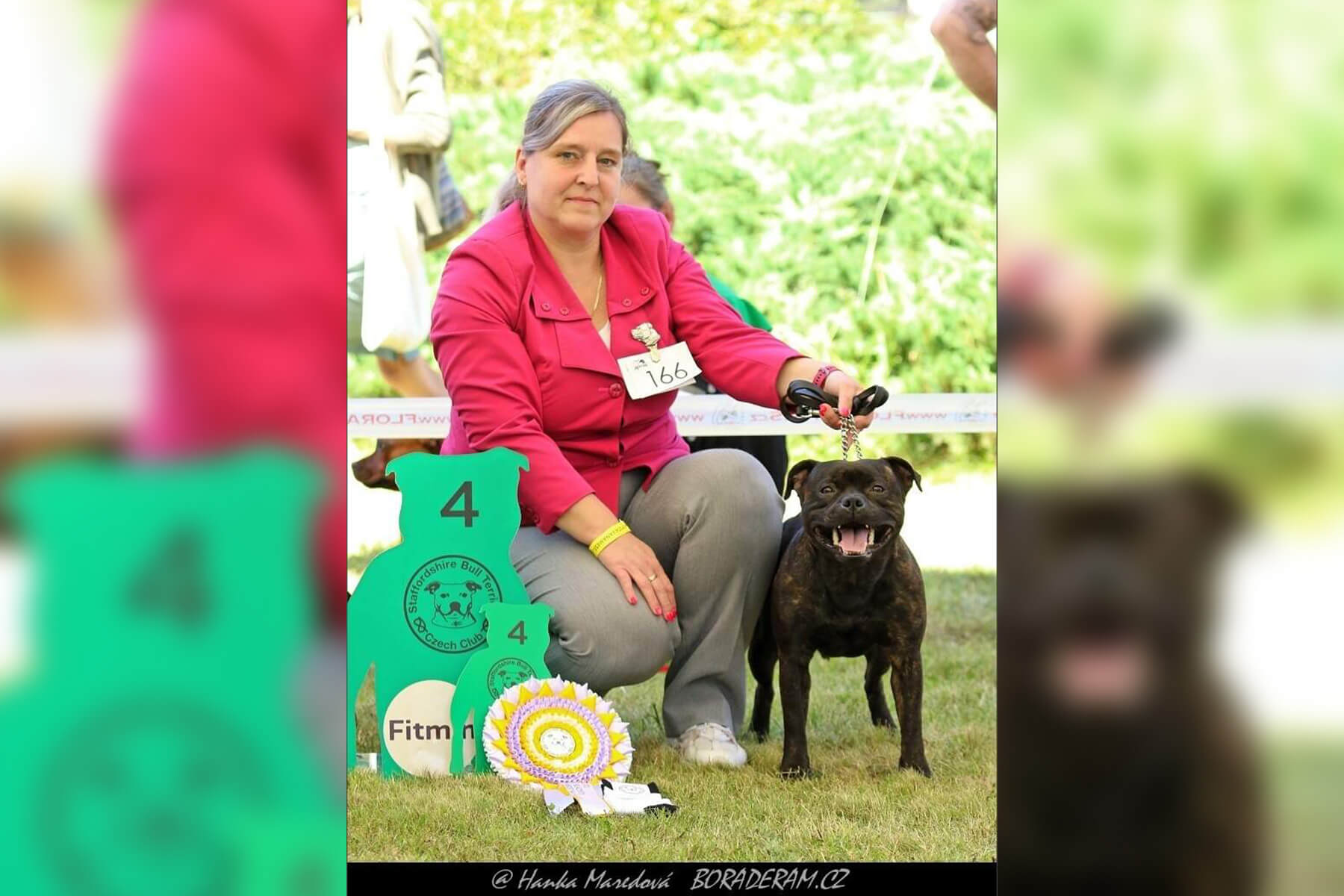 2024 Summary - DOMIDAR DOGS Kennel