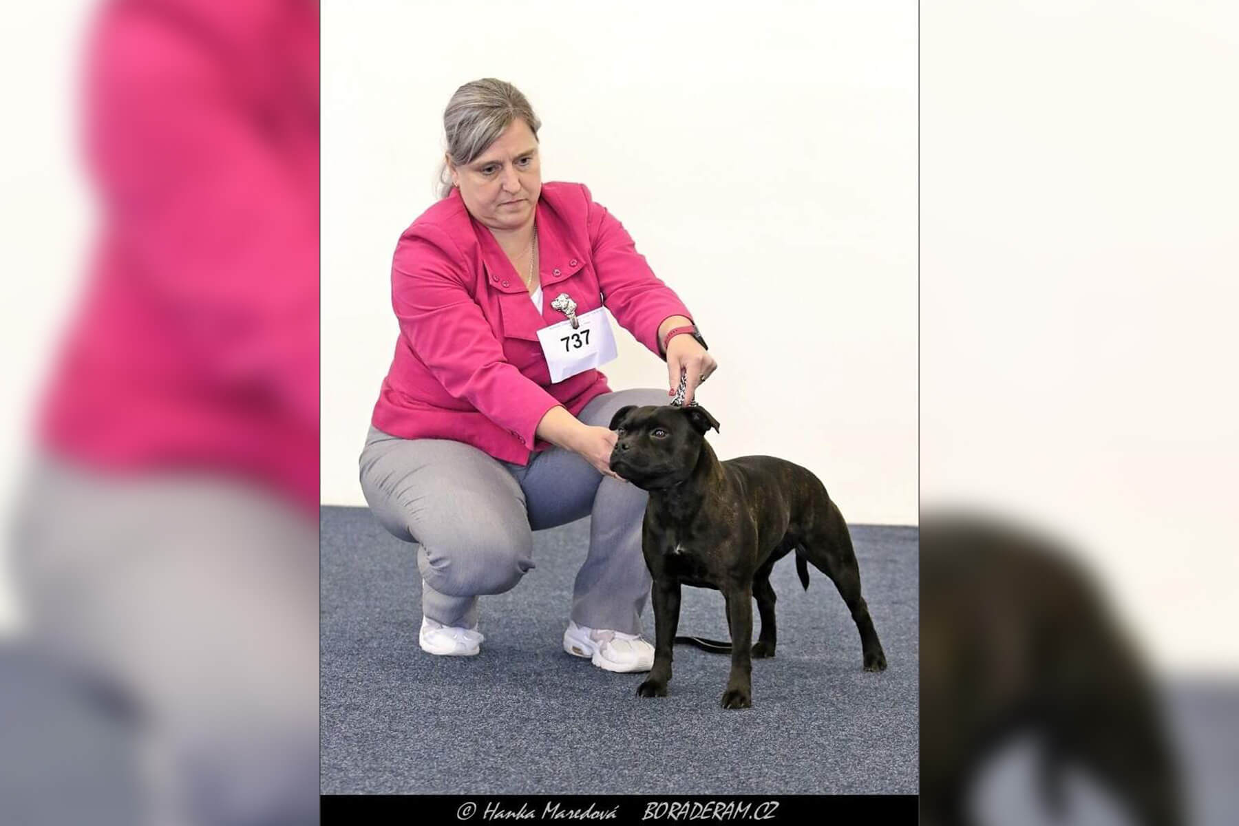 2024 Summary - DOMIDAR DOGS Kennel