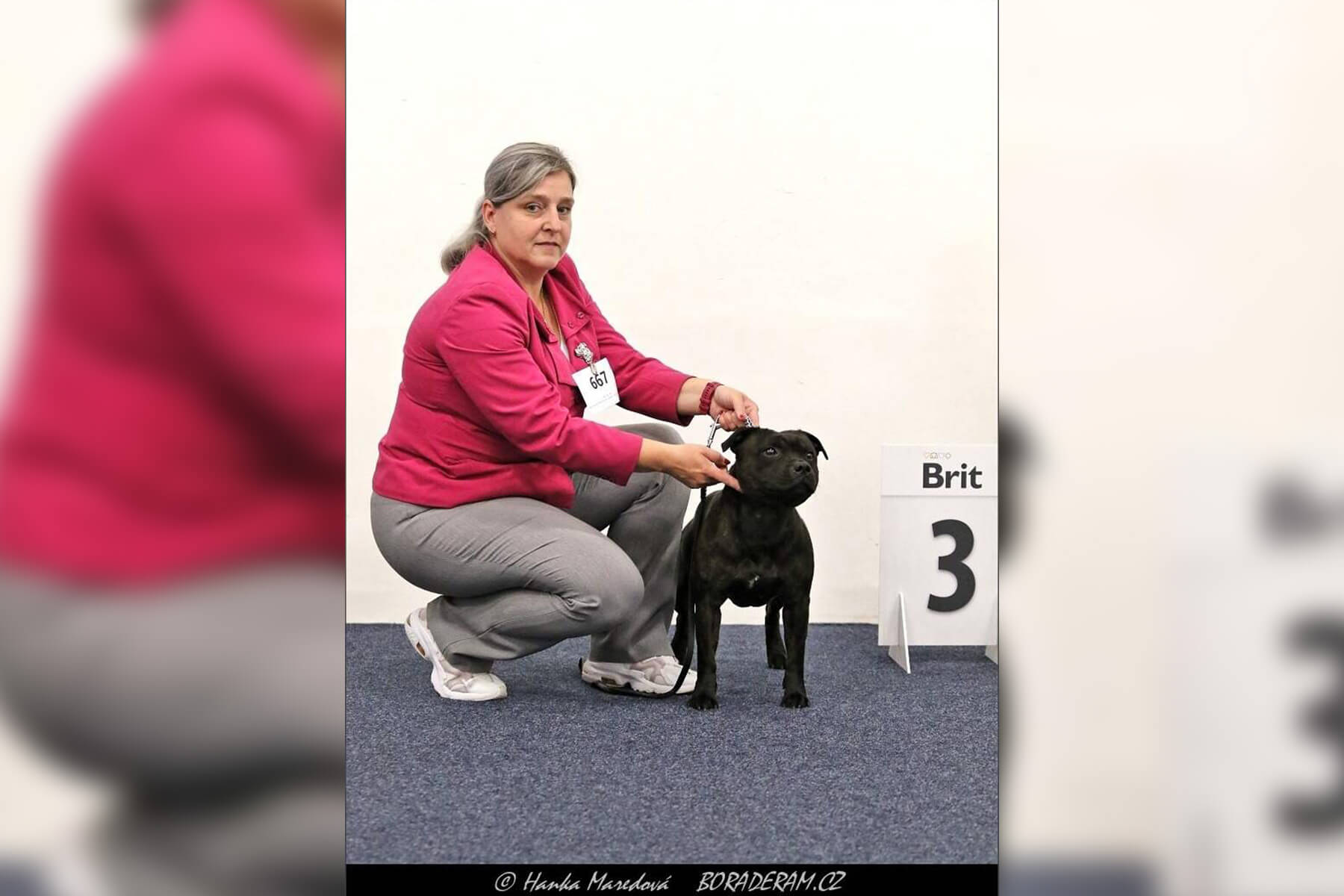 2024 Summary - DOMIDAR DOGS Kennel