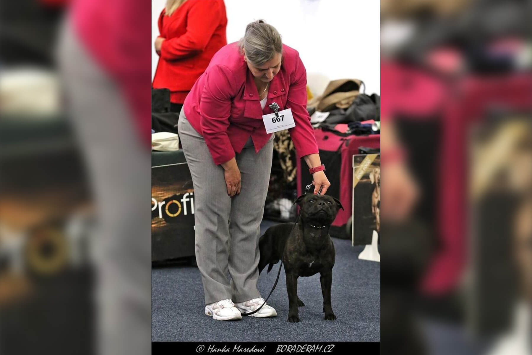 2024 Summary - DOMIDAR DOGS Kennel