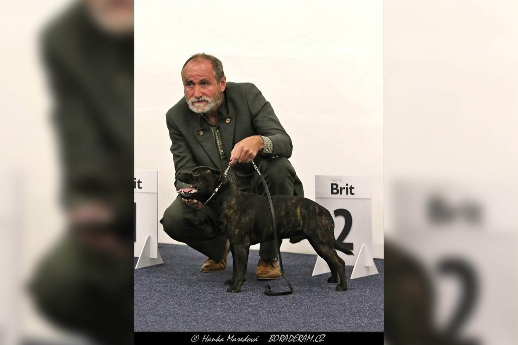 2024 Summary - DOMIDAR DOGS Kennel