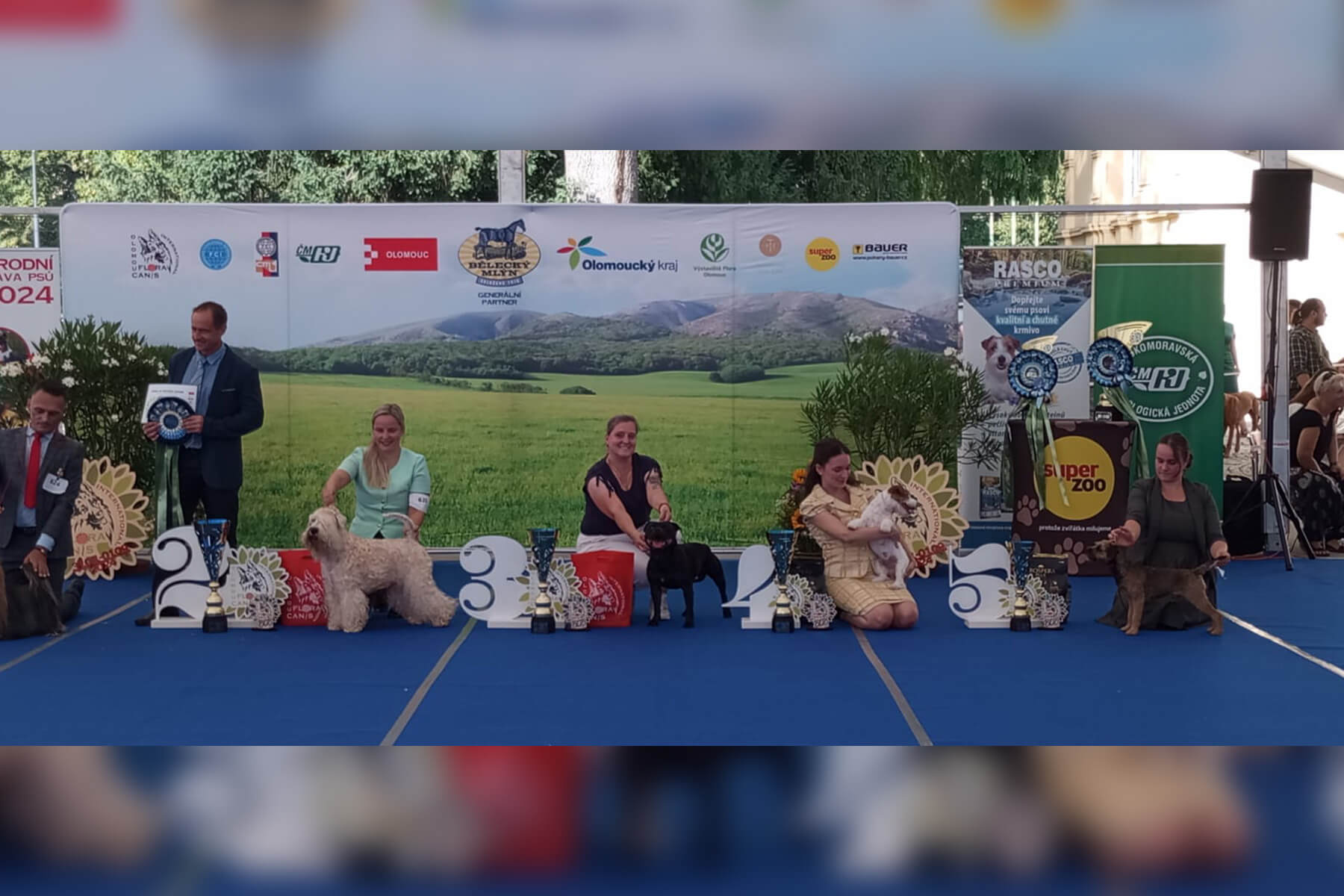 2024 Summary - DOMIDAR DOGS Kennel