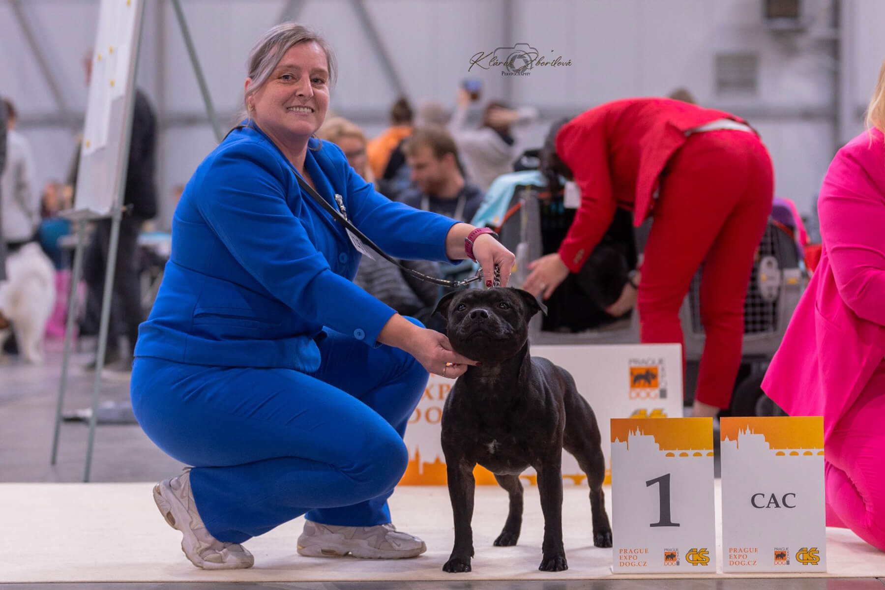 2024 Summary - DOMIDAR DOGS Kennel