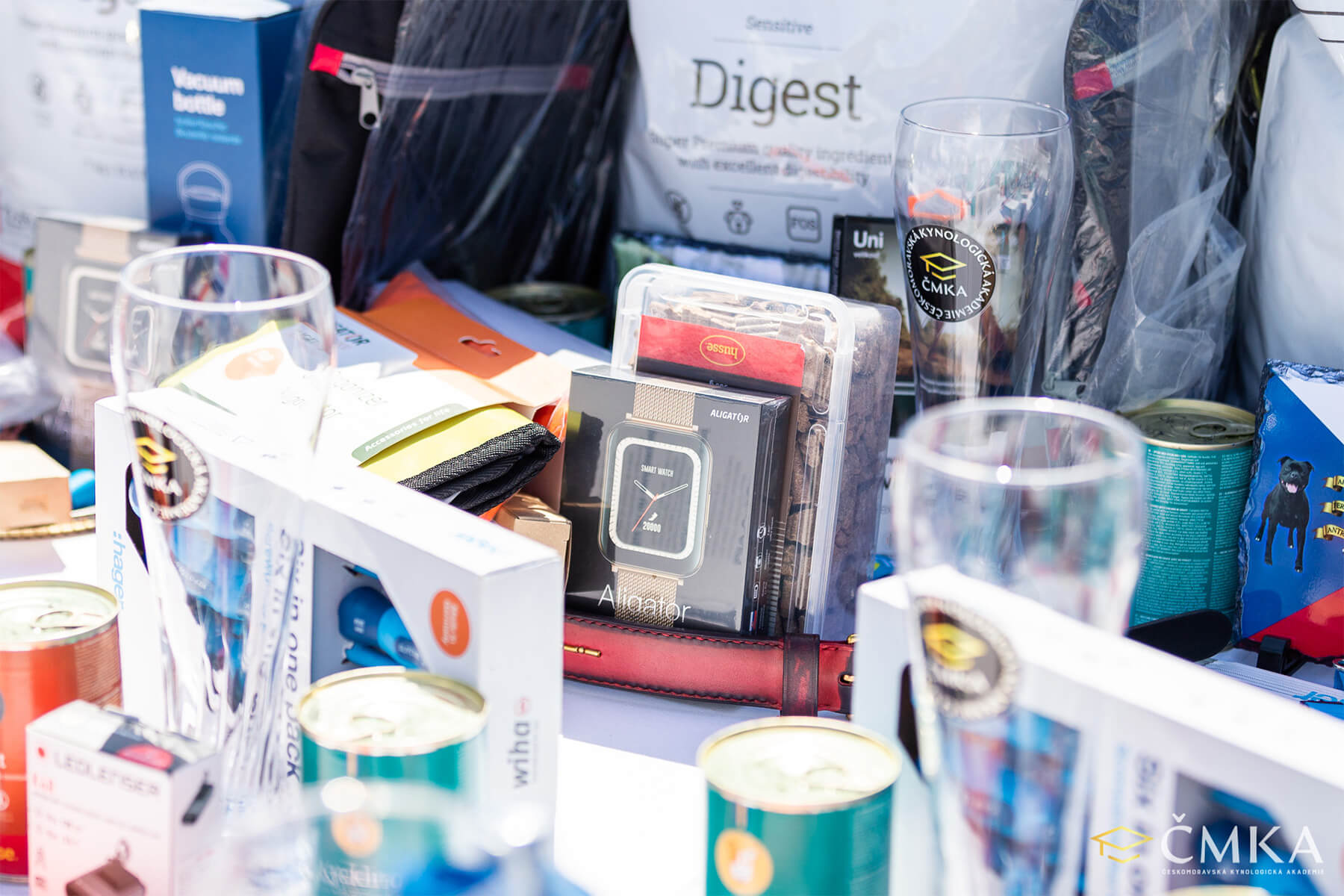 2024 Summary - DOMIDAR DOGS Kennel