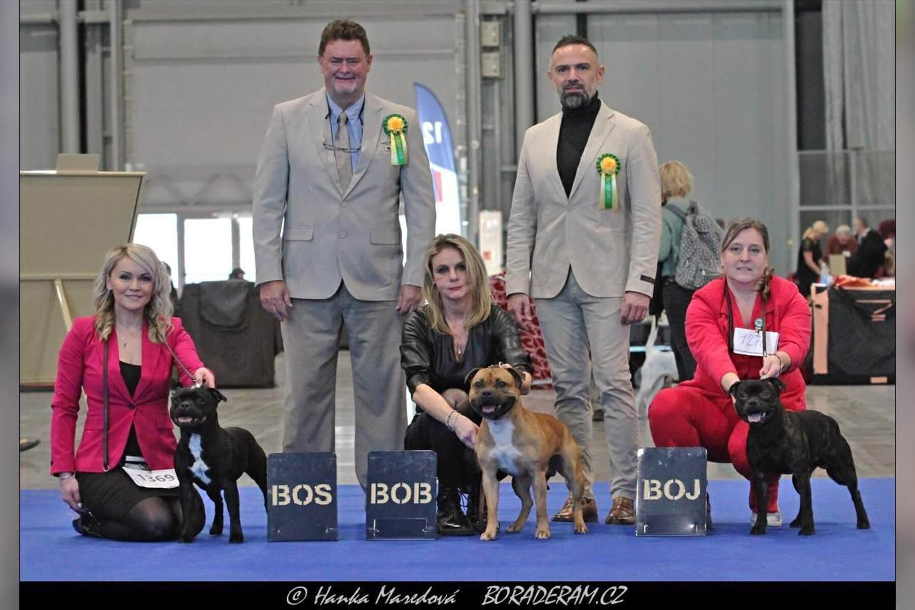 2024 Summary - DOMIDAR DOGS Kennel