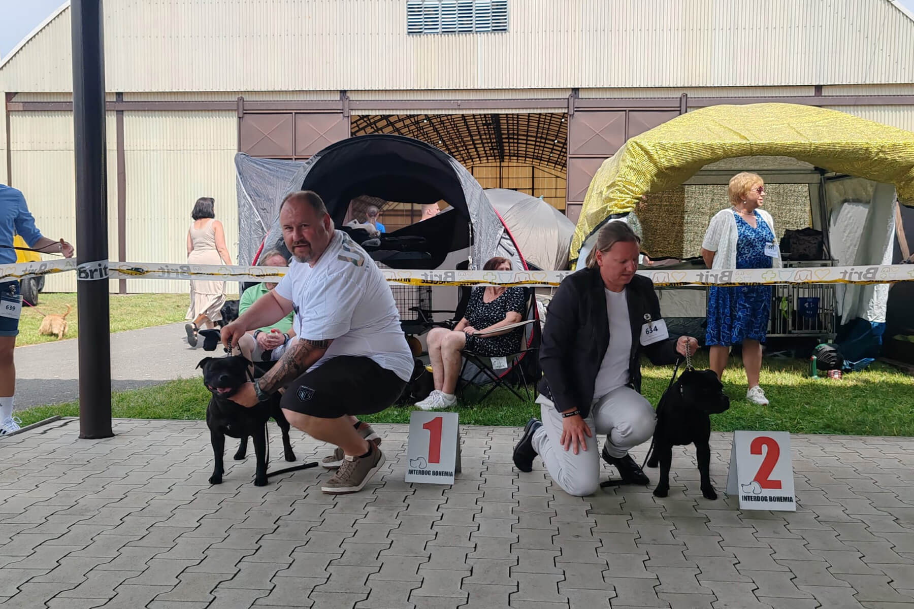 2024 Summary - DOMIDAR DOGS Kennel