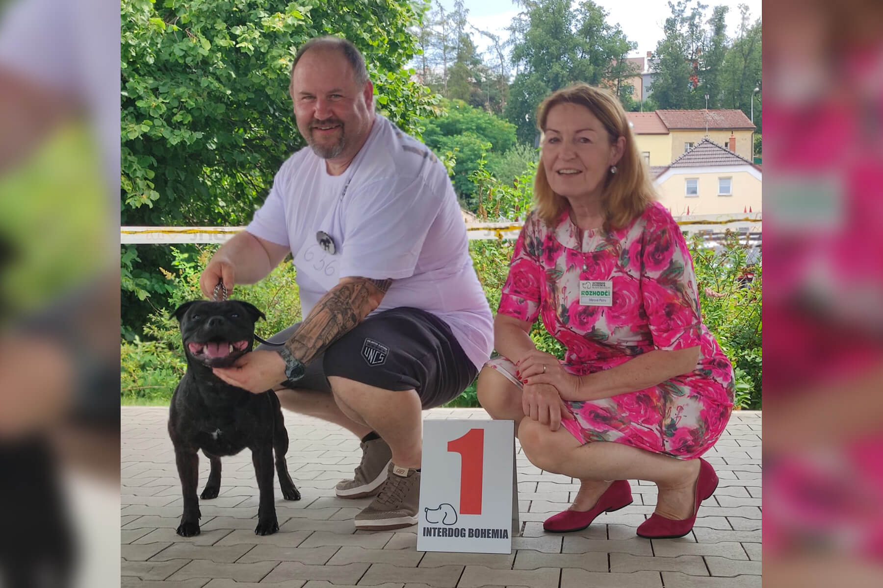 2024 Summary - DOMIDAR DOGS Kennel