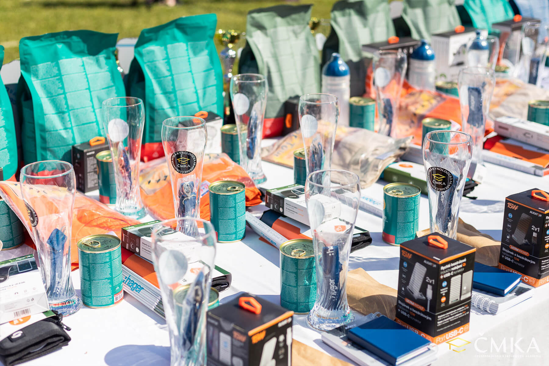 2024 Summary - DOMIDAR DOGS Kennel