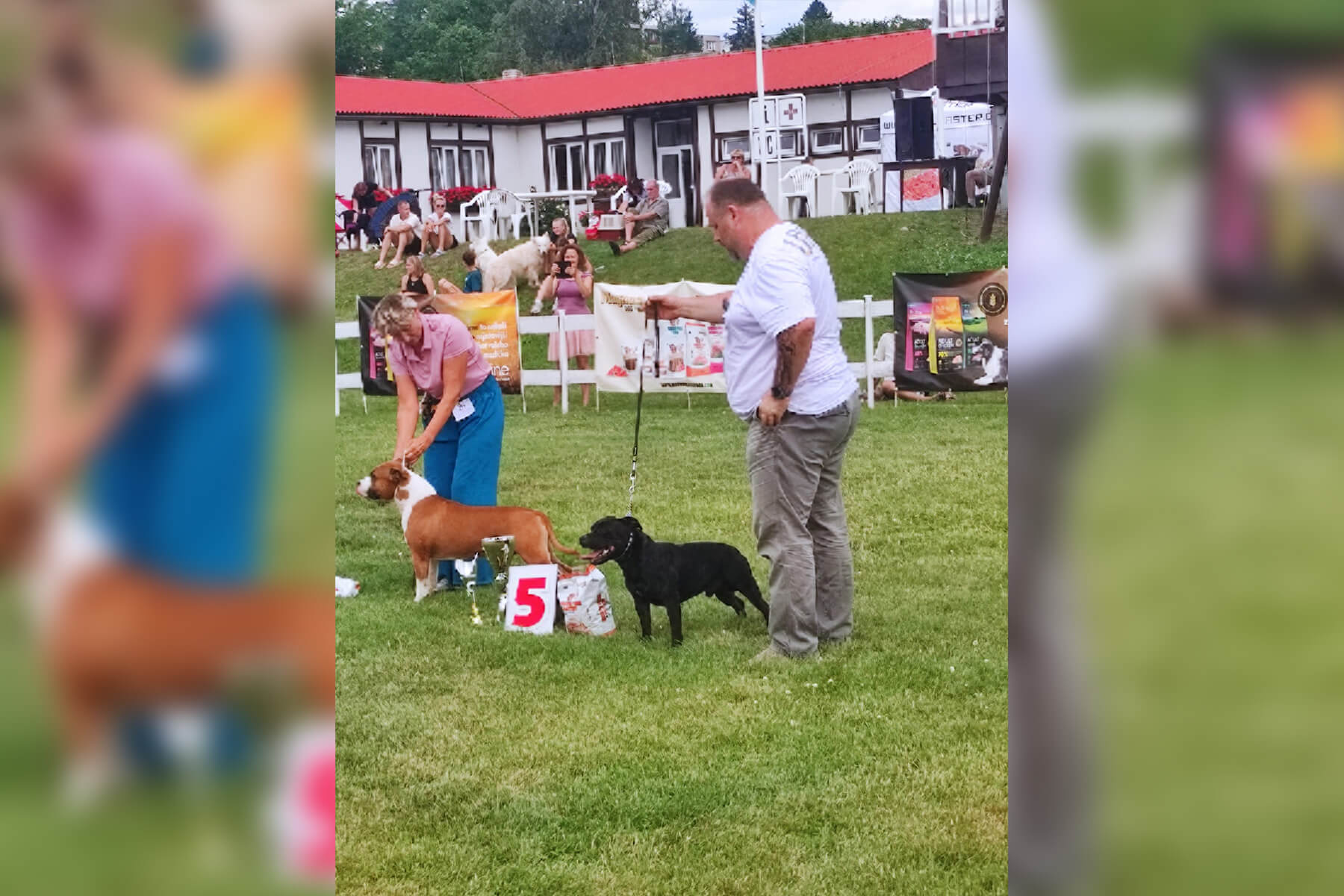 2024 Summary - DOMIDAR DOGS Kennel