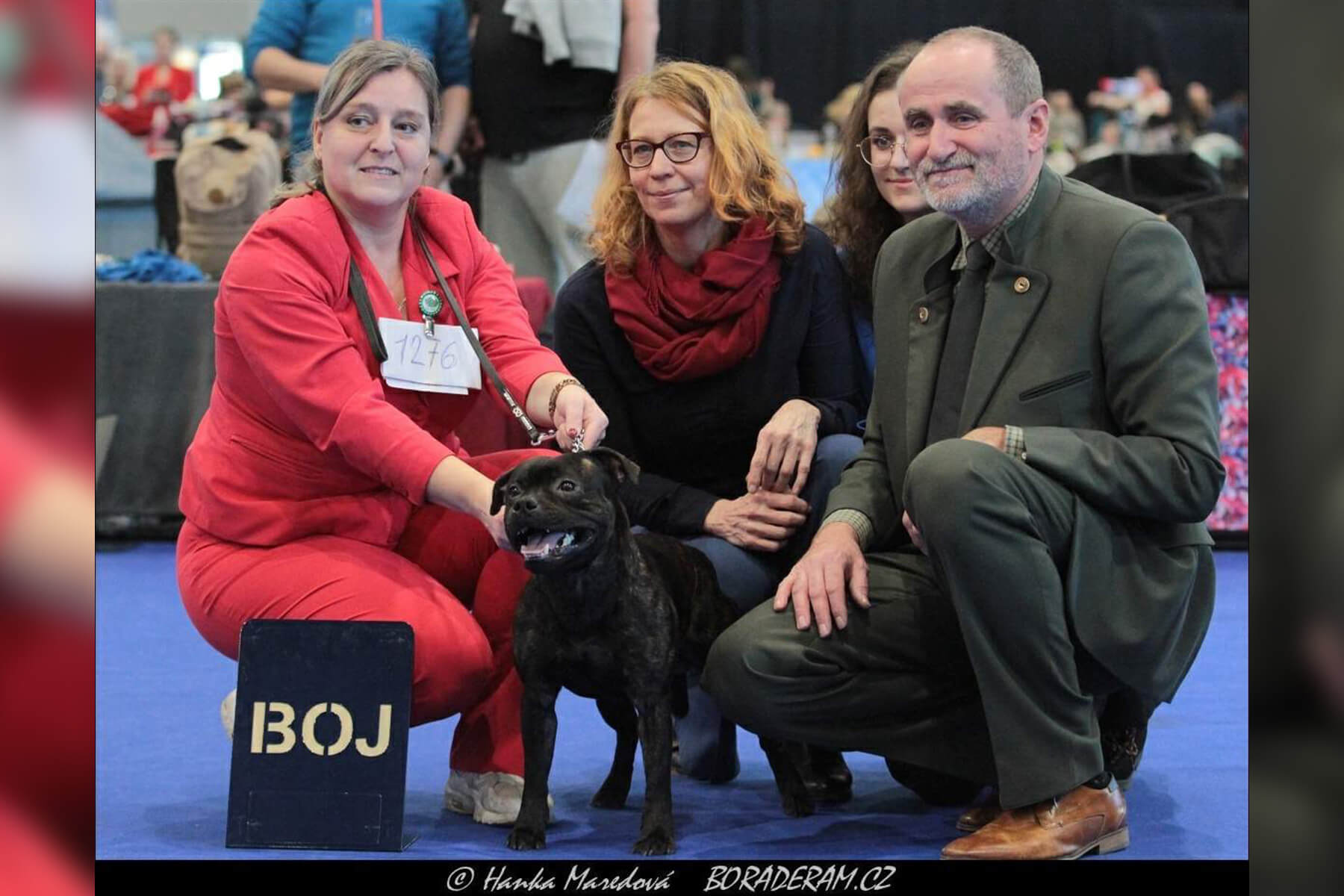 2024 Summary - DOMIDAR DOGS Kennel