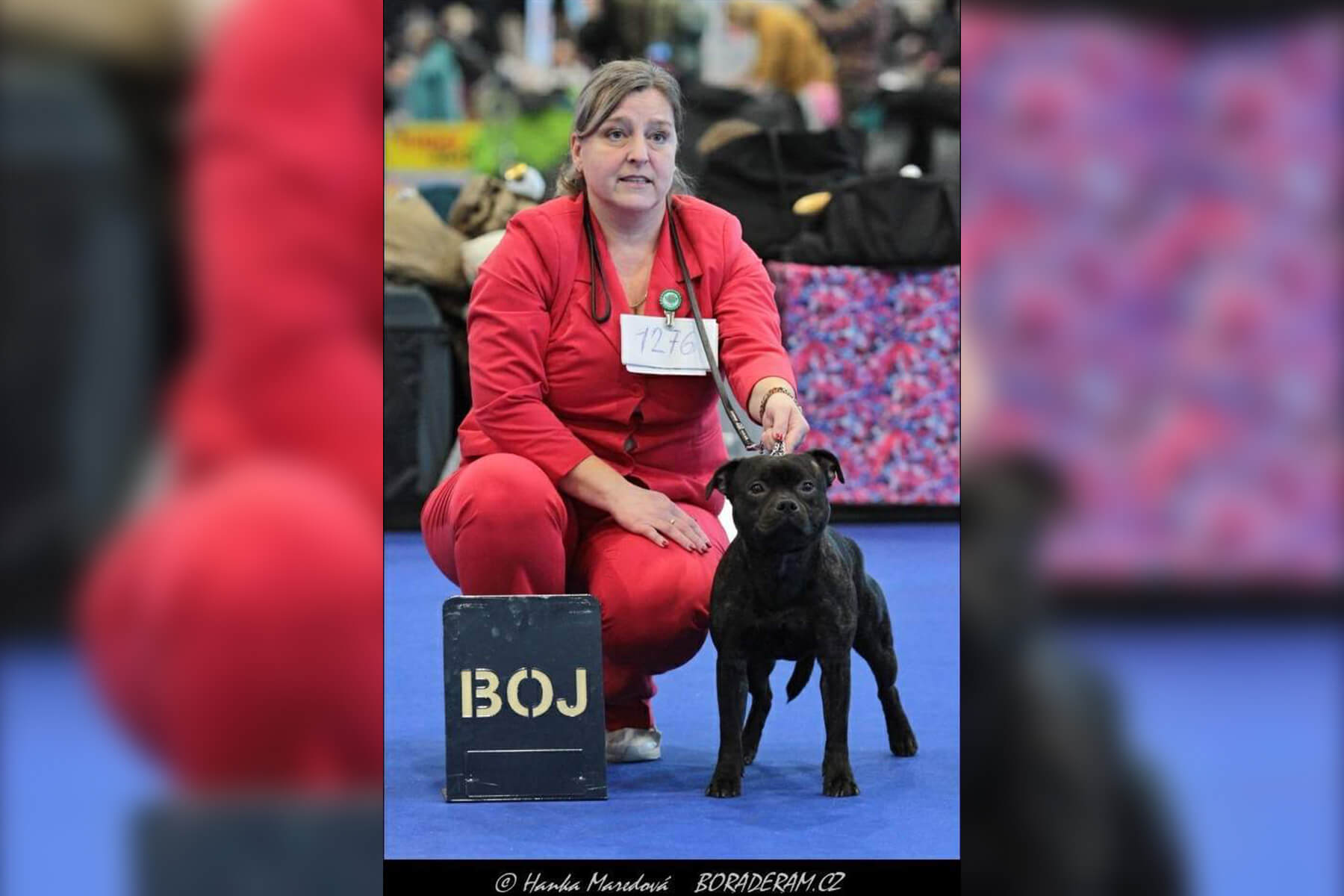 2024 Summary - DOMIDAR DOGS Kennel