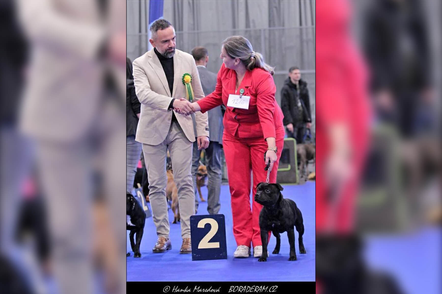 2024 Summary - DOMIDAR DOGS Kennel