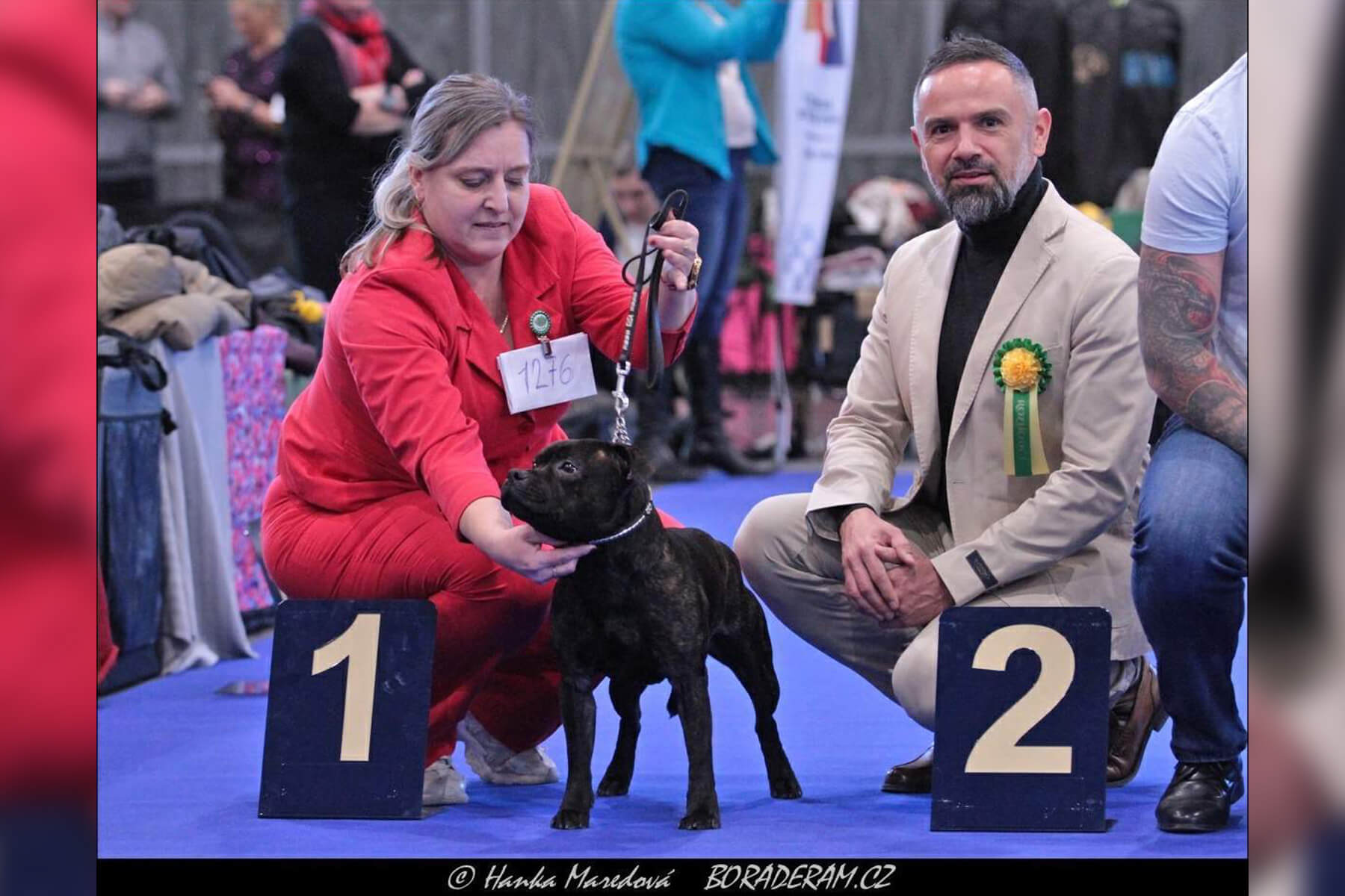 2024 Summary - DOMIDAR DOGS Kennel