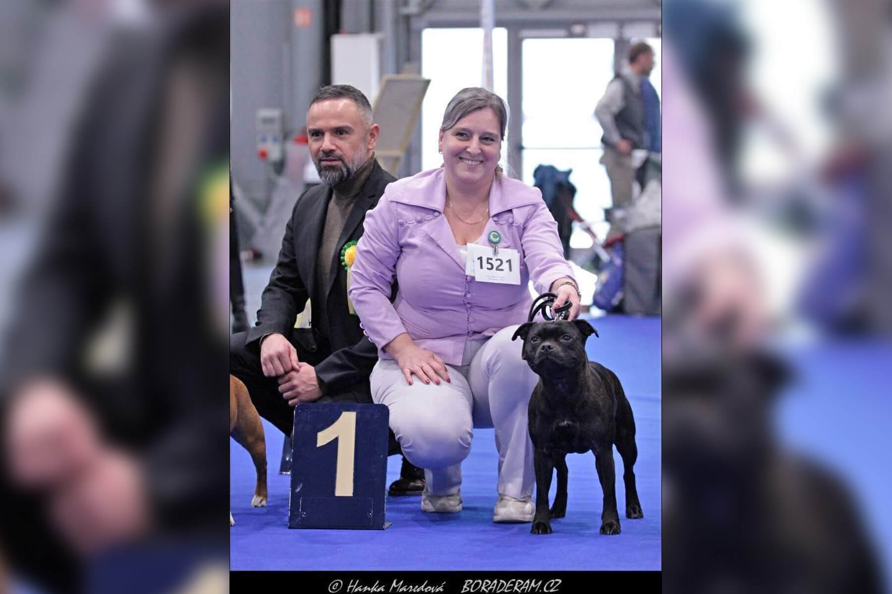 2024 Summary - DOMIDAR DOGS Kennel