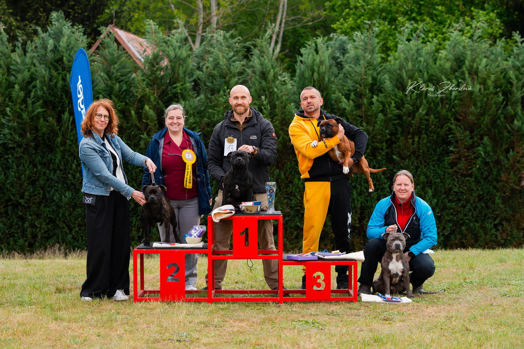 2025 Summary - DOMIDAR DOGS Kennel