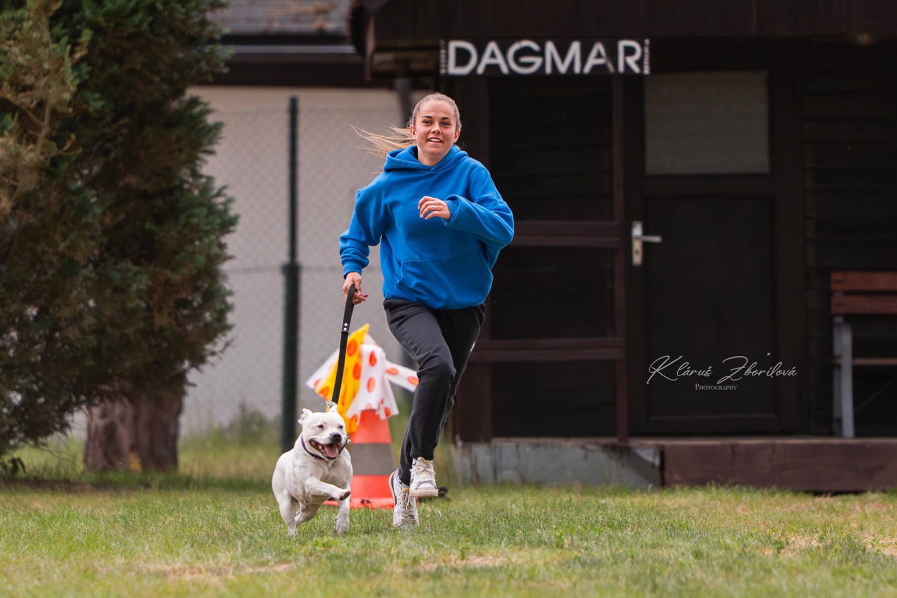 2025 Summary - DOMIDAR DOGS Kennel