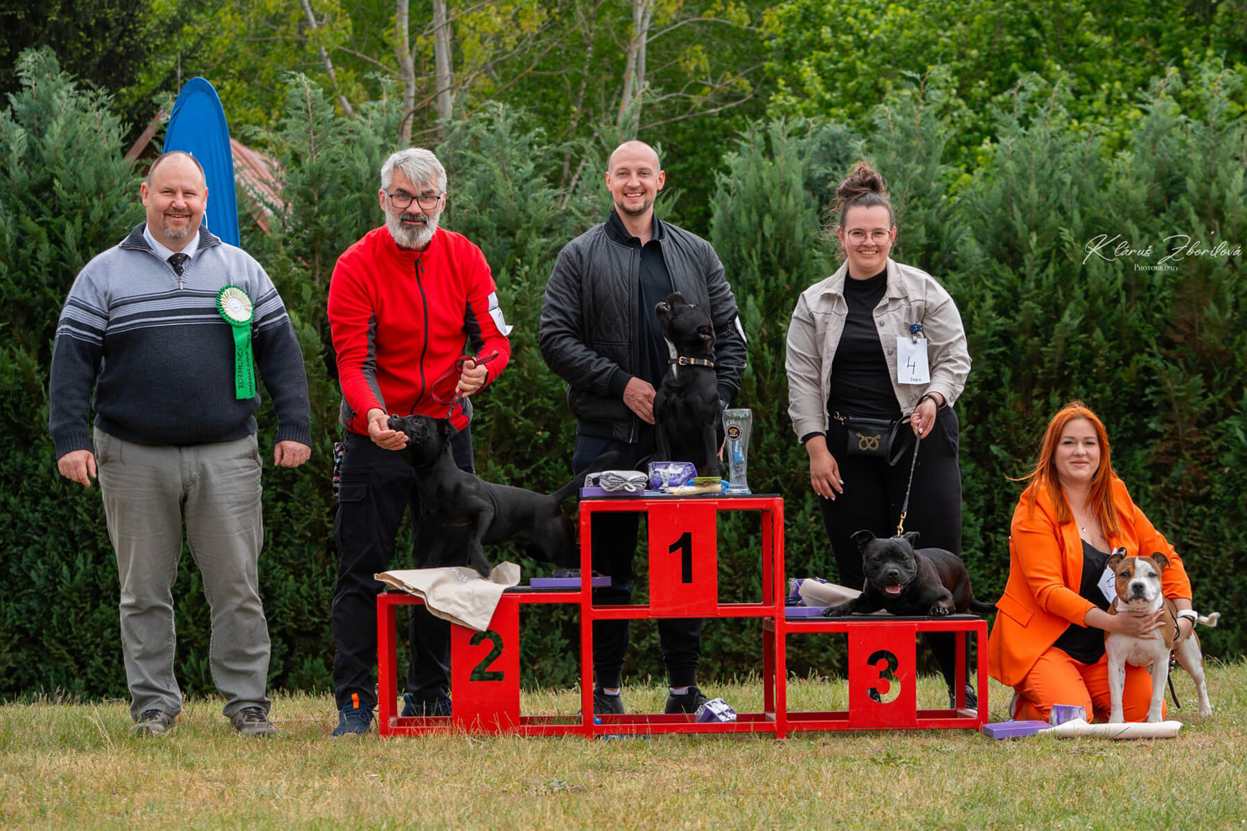 2025 Summary - DOMIDAR DOGS Kennel