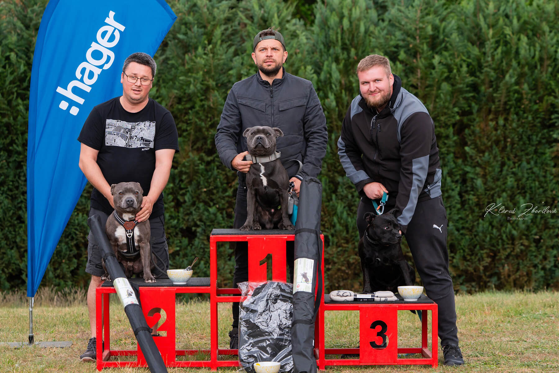 2025 Summary - DOMIDAR DOGS Kennel