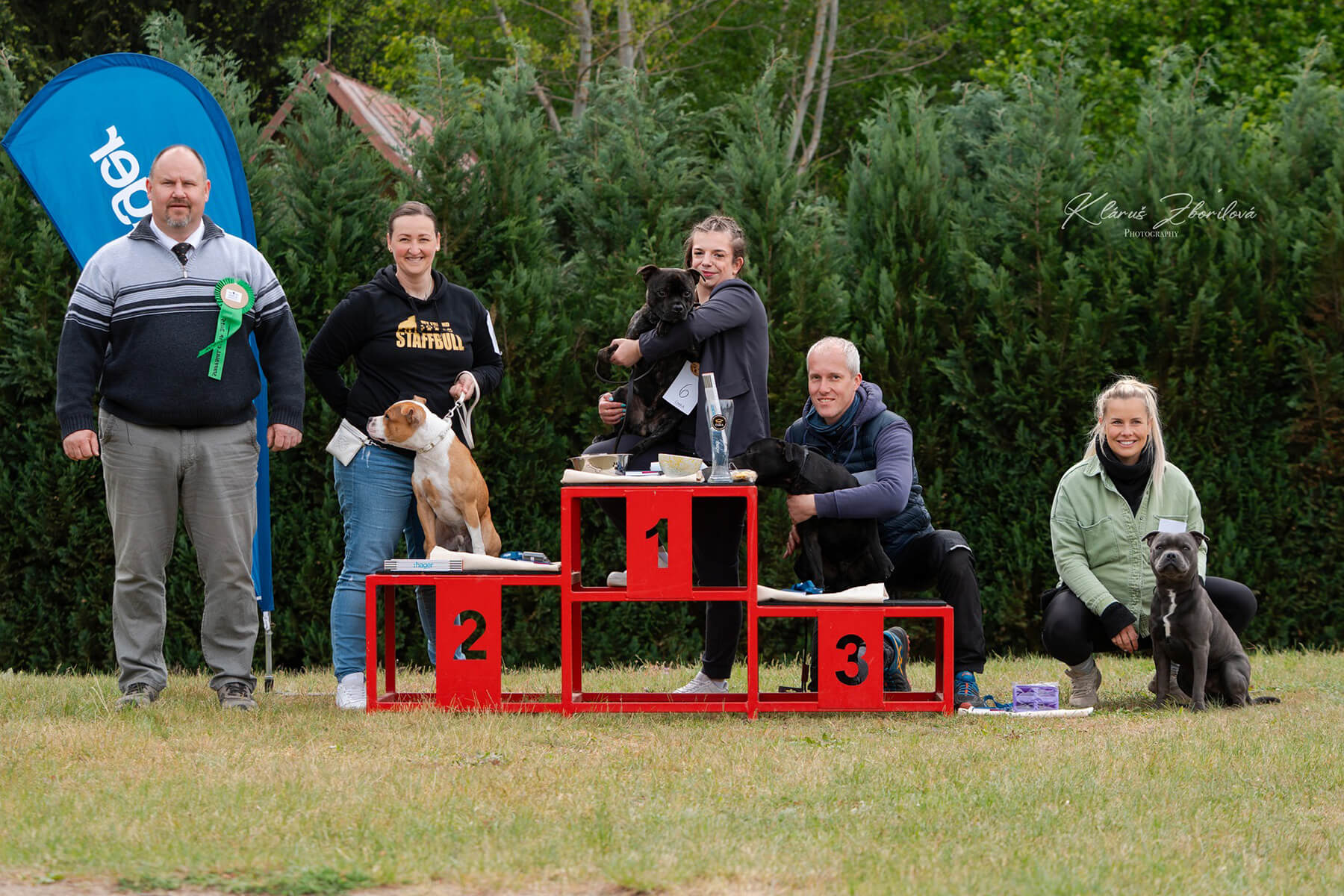 2025 Summary - DOMIDAR DOGS Kennel