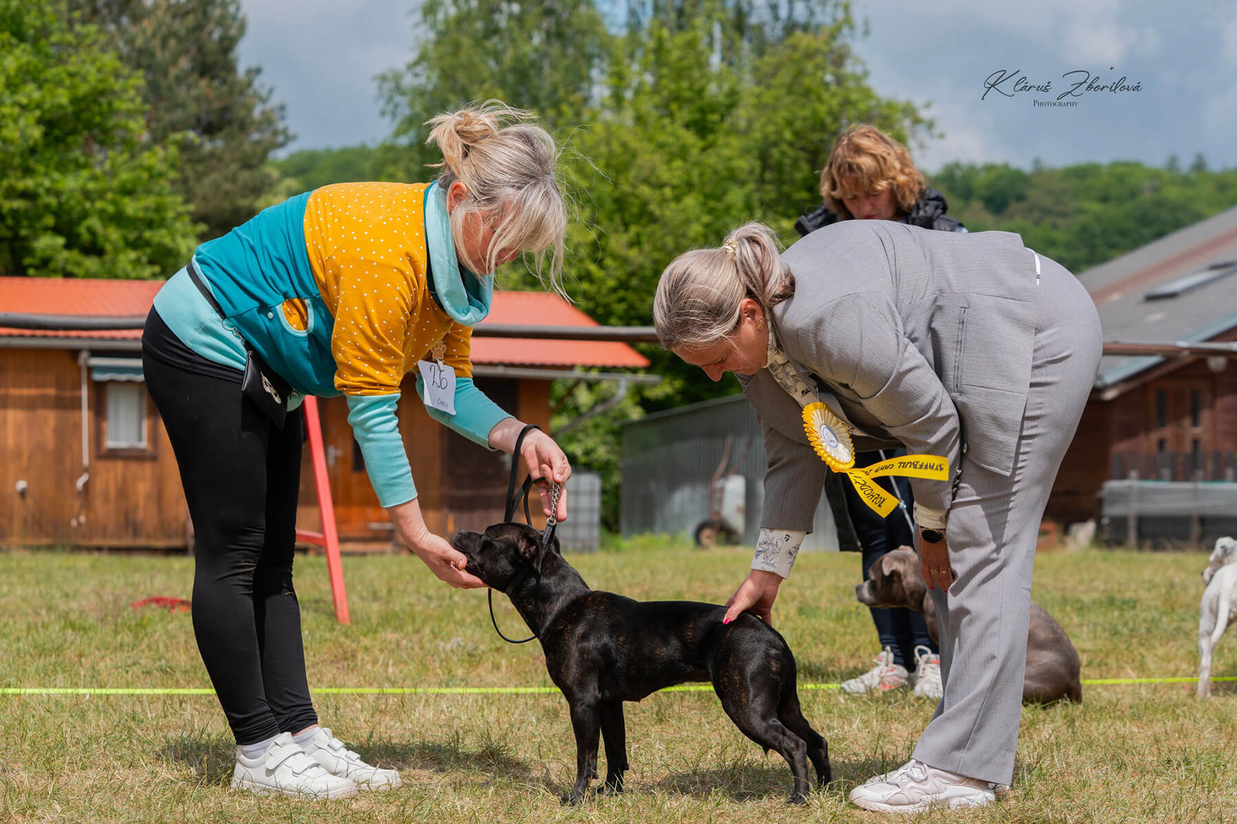 2025 Summary - DOMIDAR DOGS Kennel