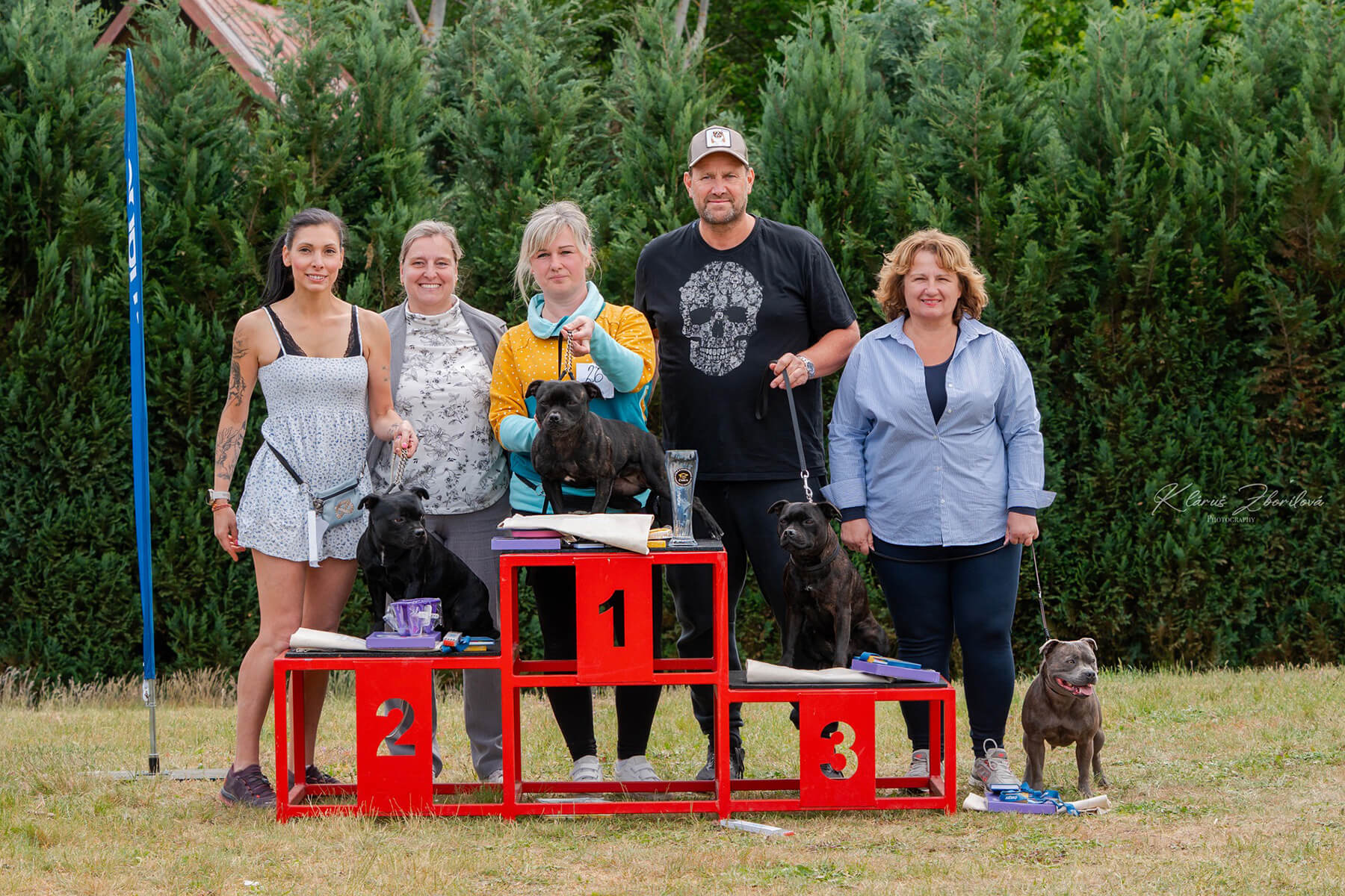 2025 Summary - DOMIDAR DOGS Kennel