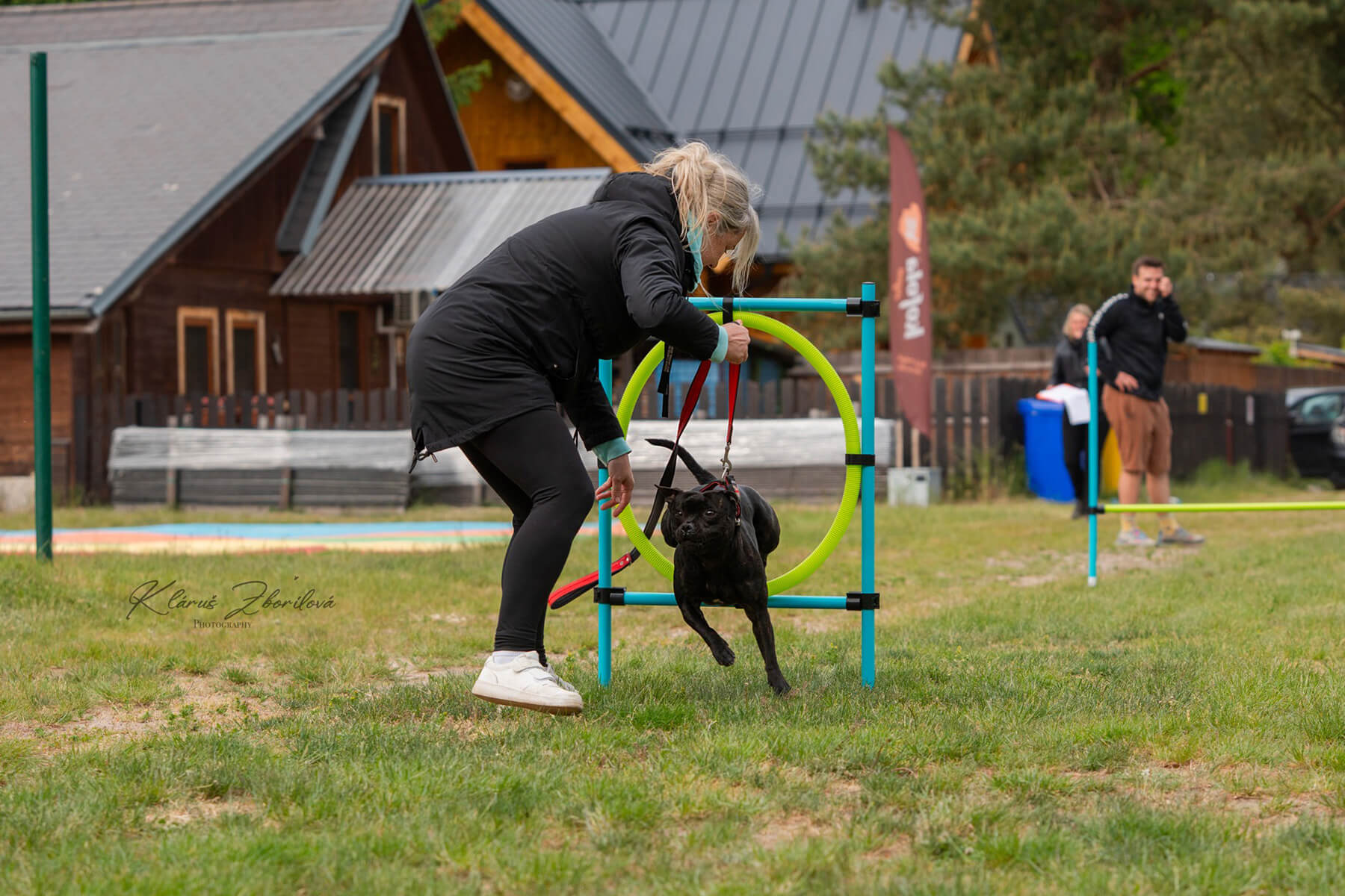 2025 Summary - DOMIDAR DOGS Kennel