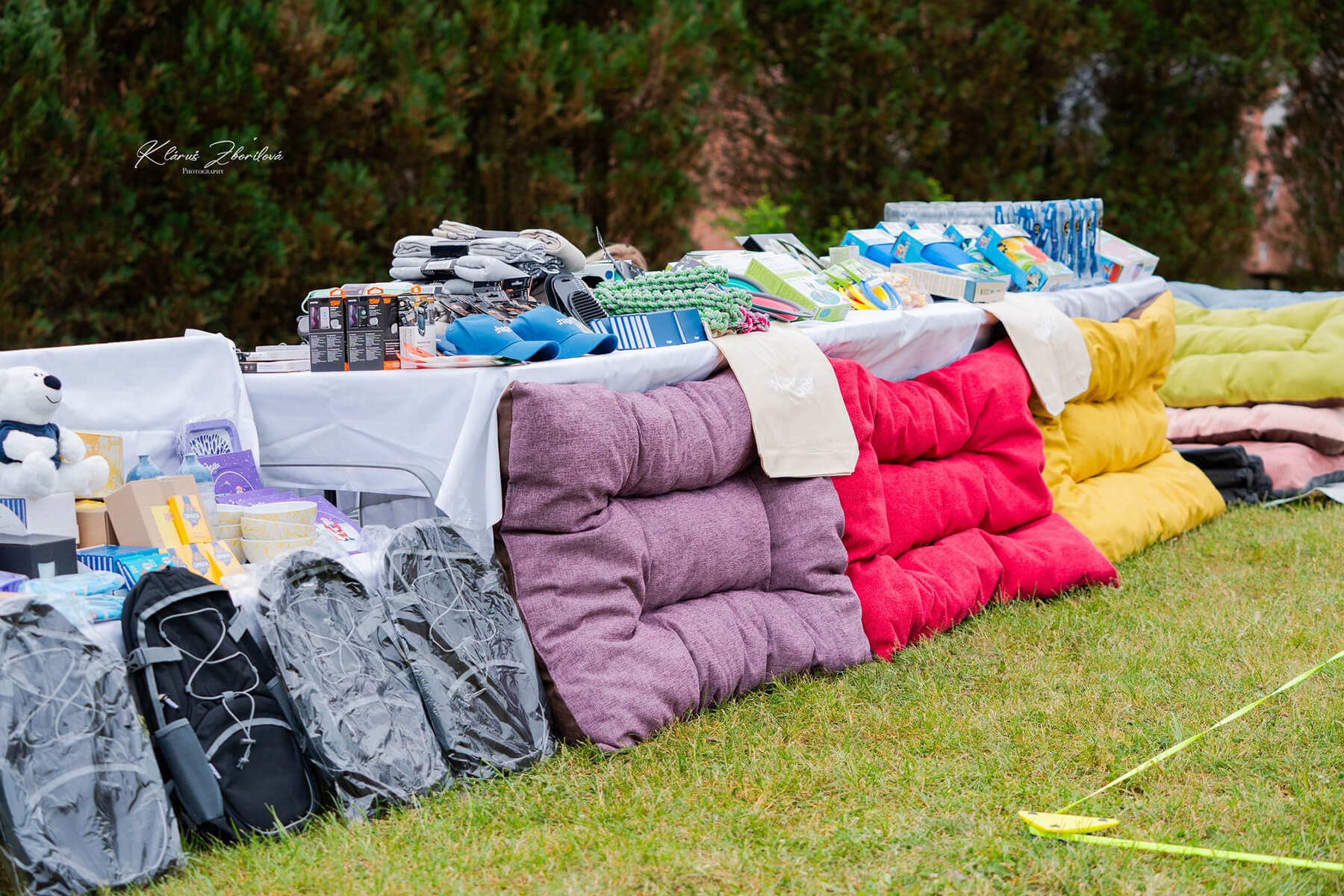 2025 Summary - DOMIDAR DOGS Kennel