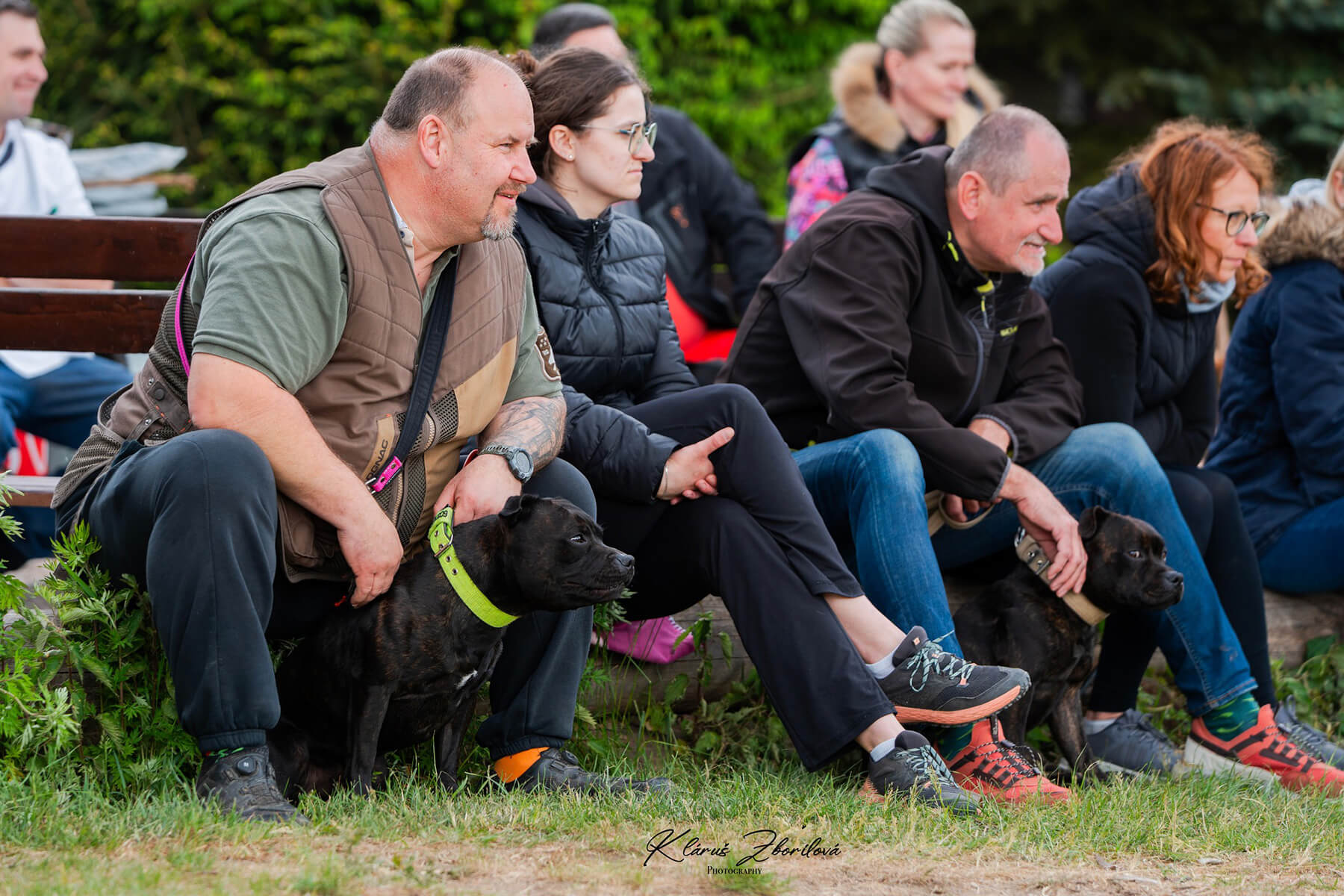 2025 Summary - DOMIDAR DOGS Kennel