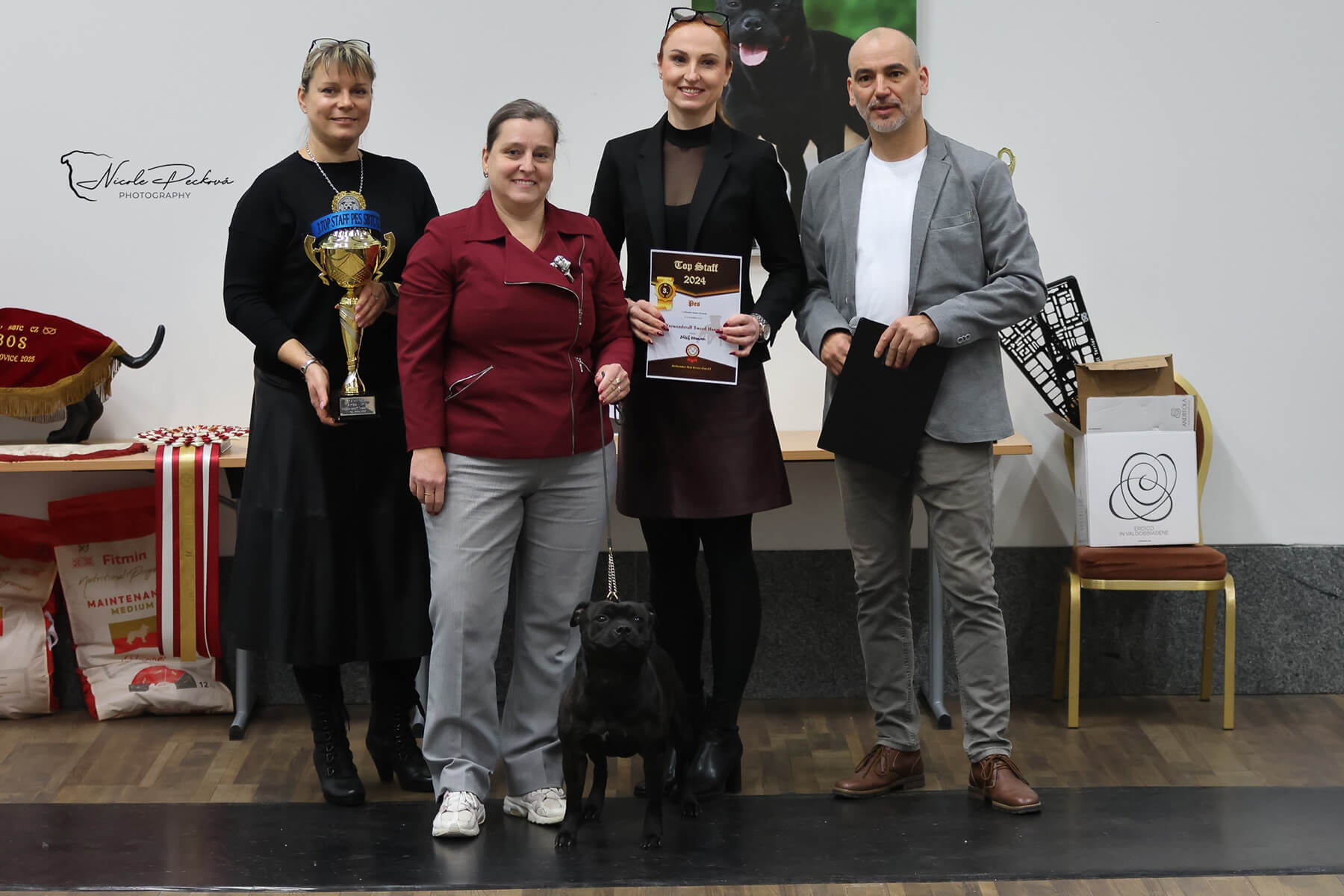 2025 Summary - DOMIDAR DOGS Kennel