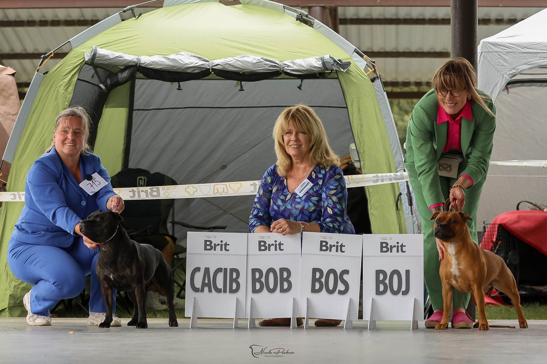 2025 Summary - DOMIDAR DOGS Kennel