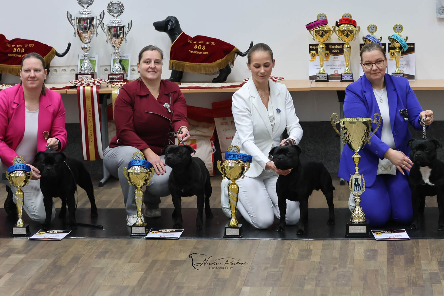 2025 Summary - DOMIDAR DOGS Kennel