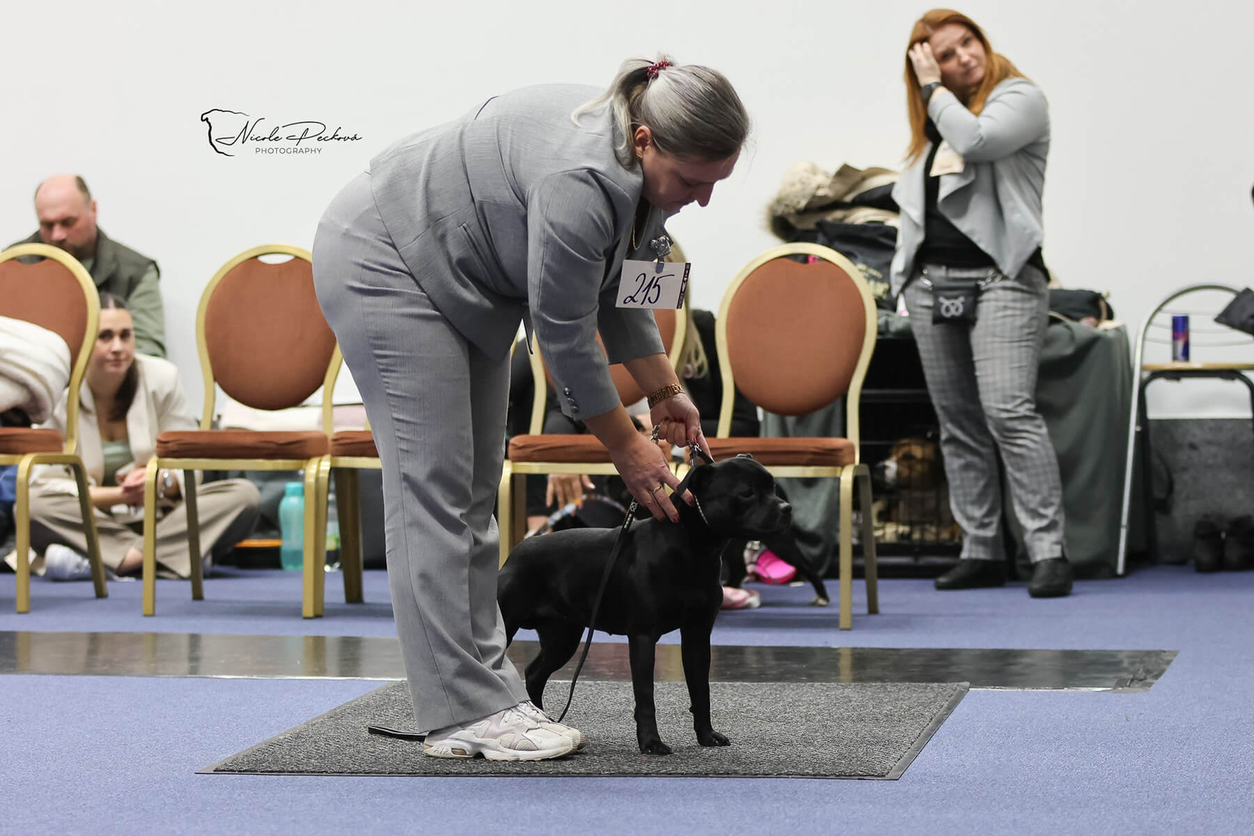 2025 Summary - DOMIDAR DOGS Kennel