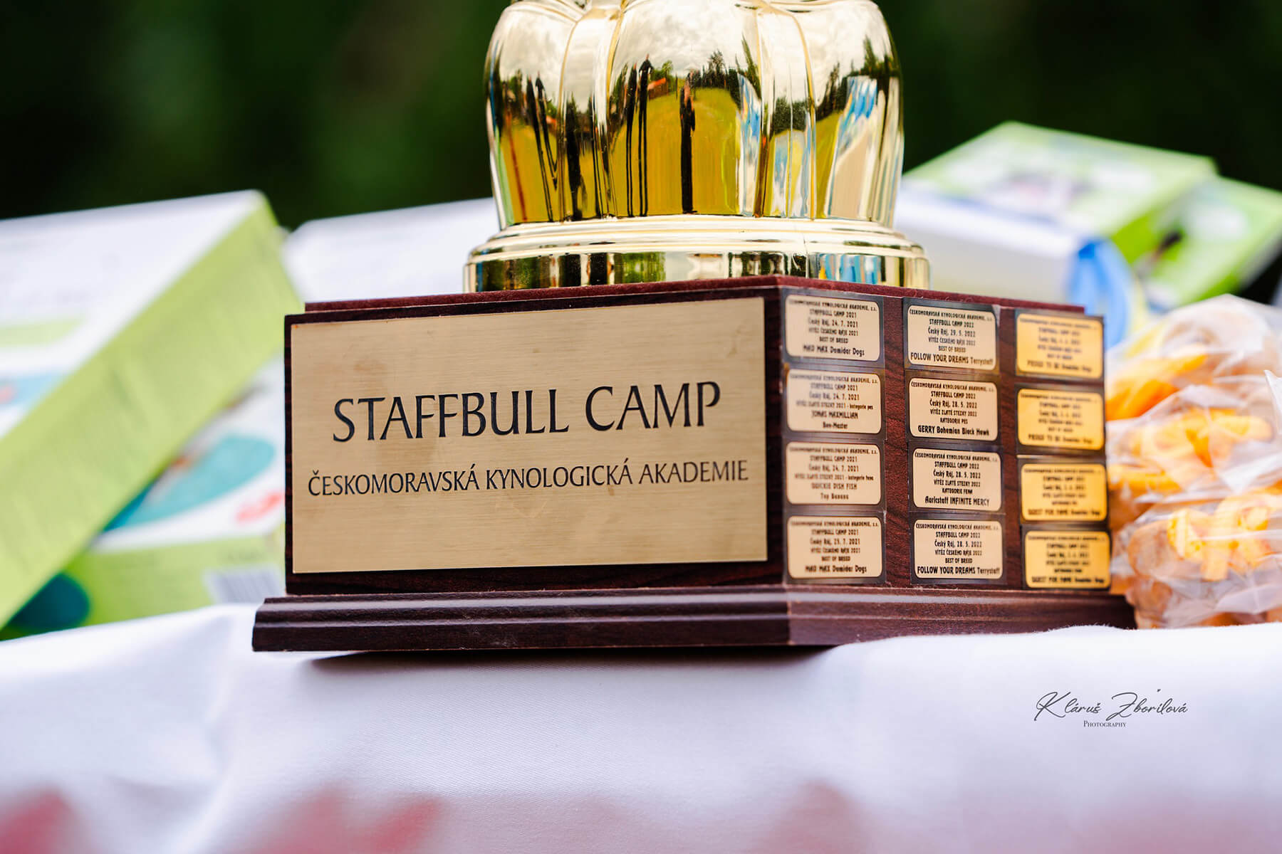 2025 Summary - DOMIDAR DOGS Kennel