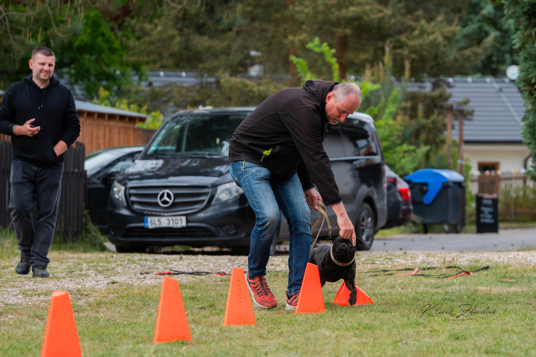 2025 Summary - DOMIDAR DOGS Kennel