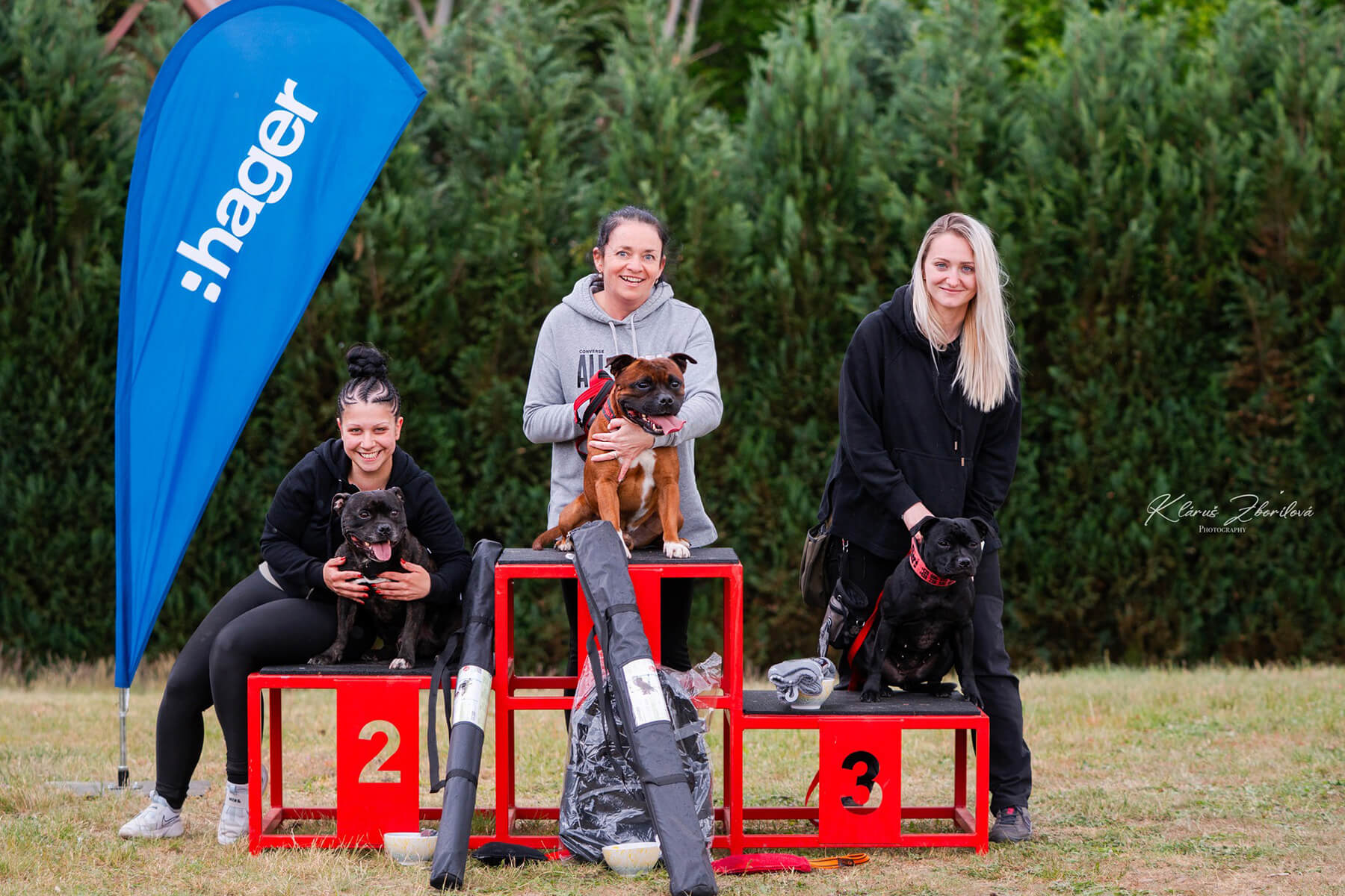 2025 Summary - DOMIDAR DOGS Kennel