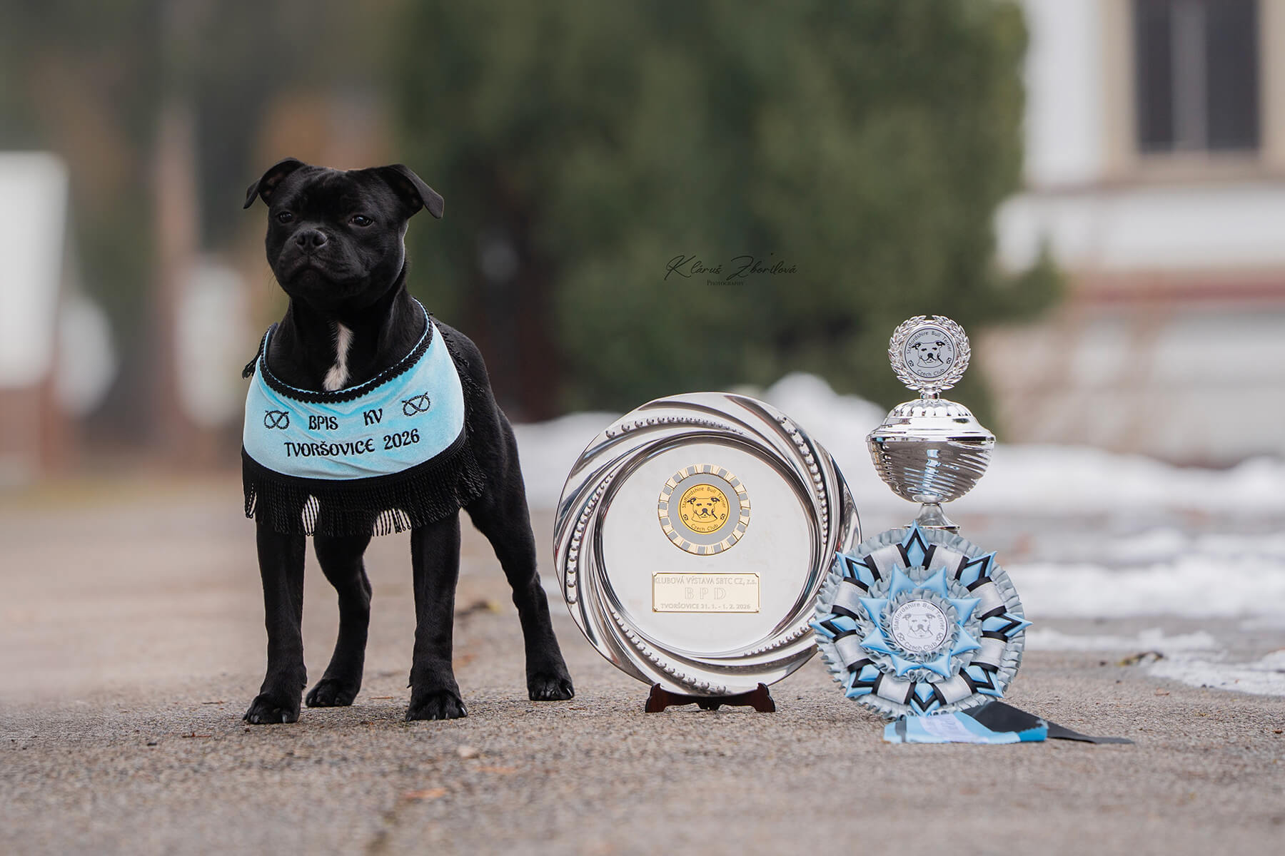 Club show SBTC CZ, Tvoršovice