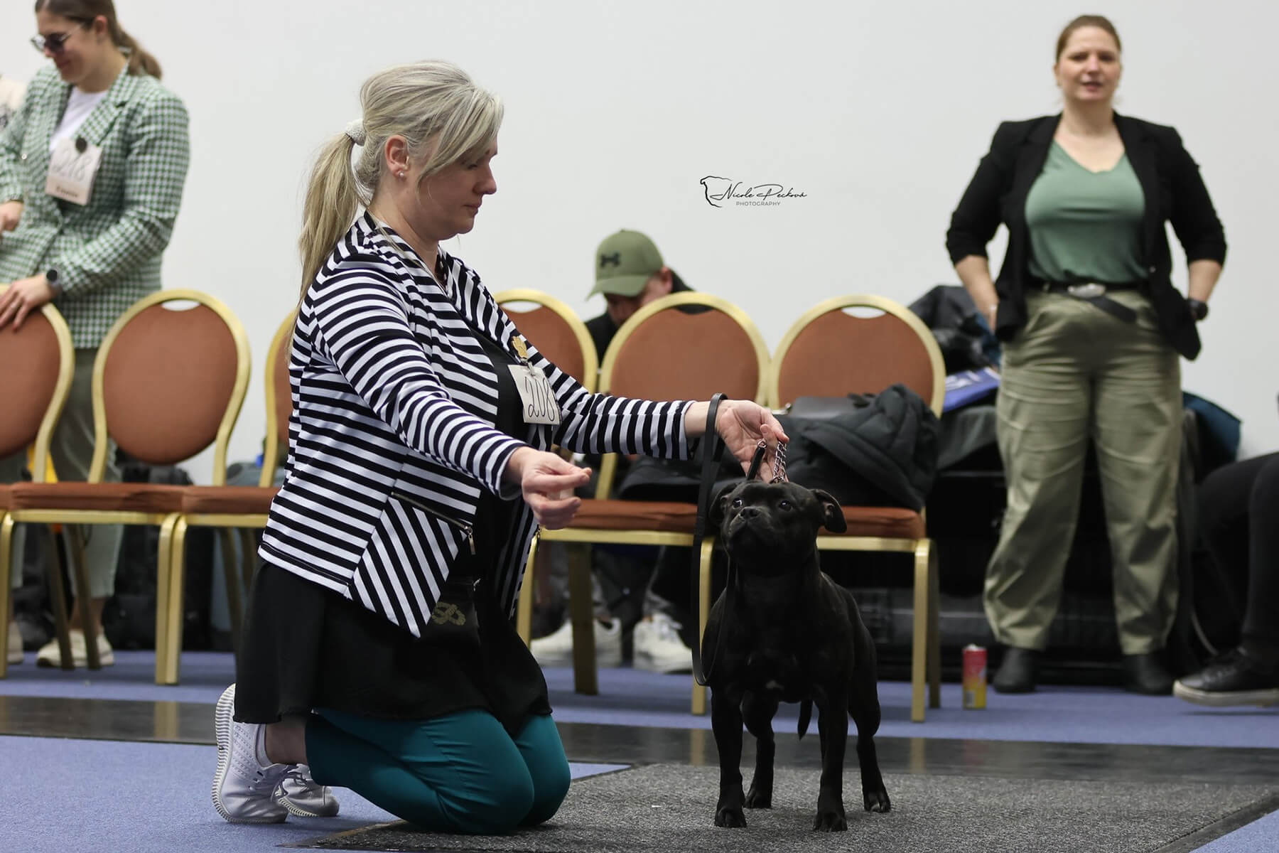 Club show SBTC CZ, Tvoršovice