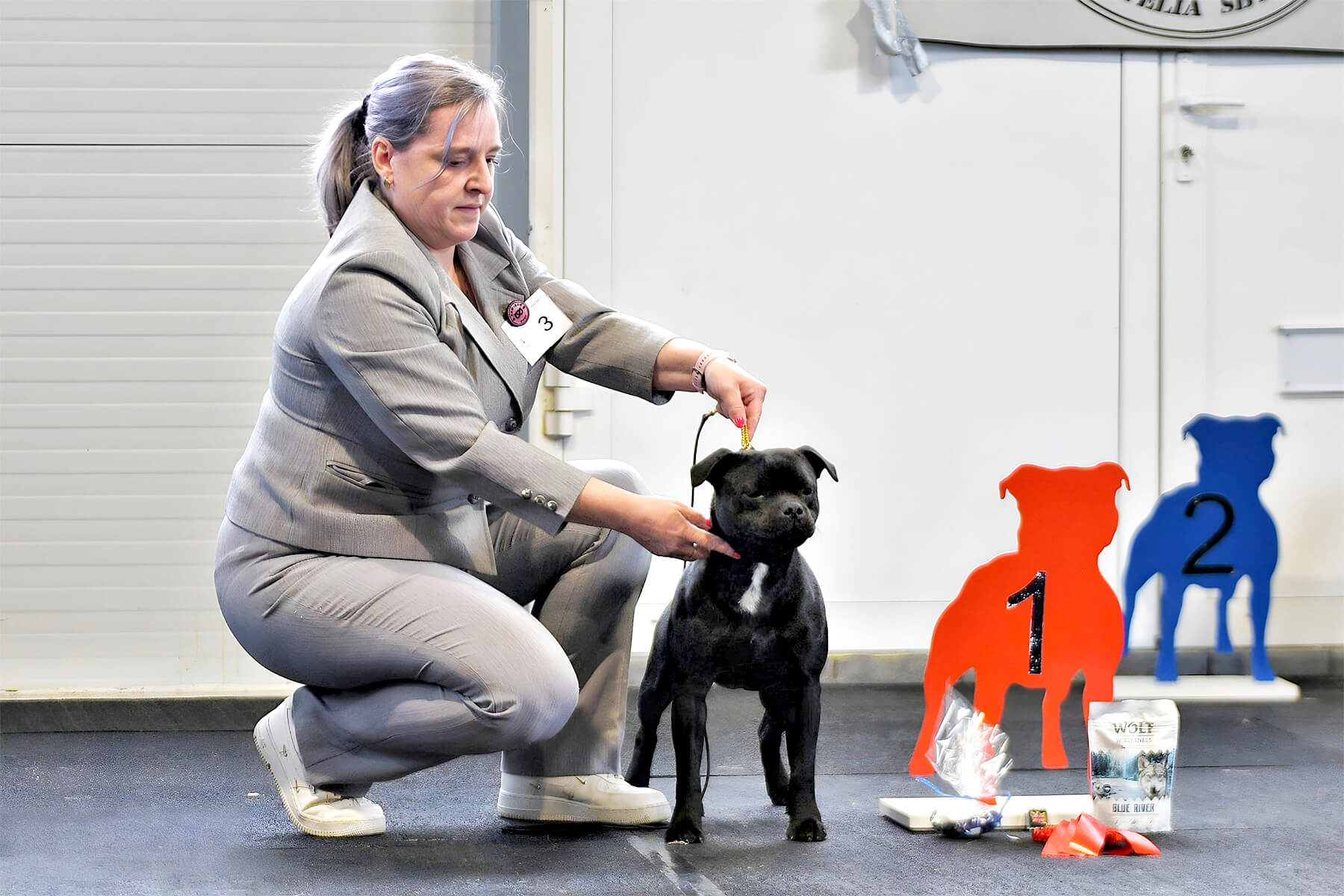 3rd Staffordshire Bull Terrier Autumn Trophy, Slovakia