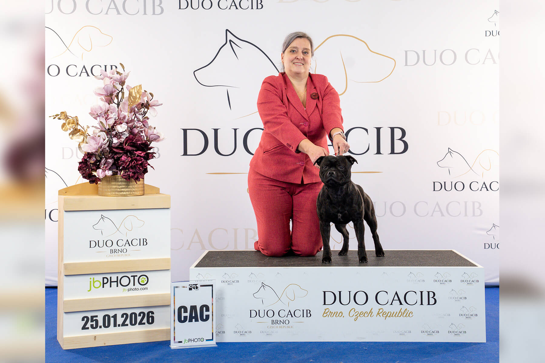 DOMIDAR DOGS – DUO CACIB, Brno