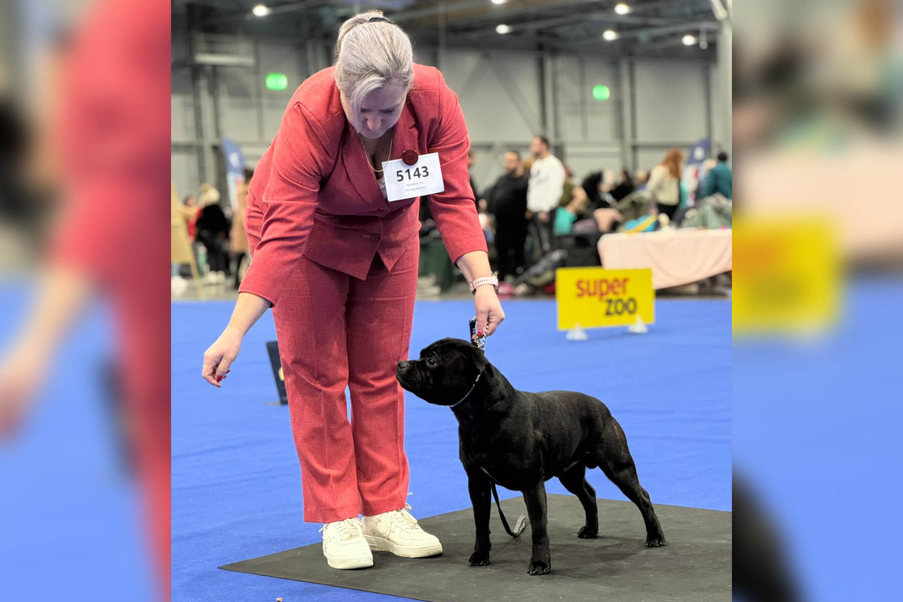 DOMIDAR DOGS – DUO CACIB, Brno