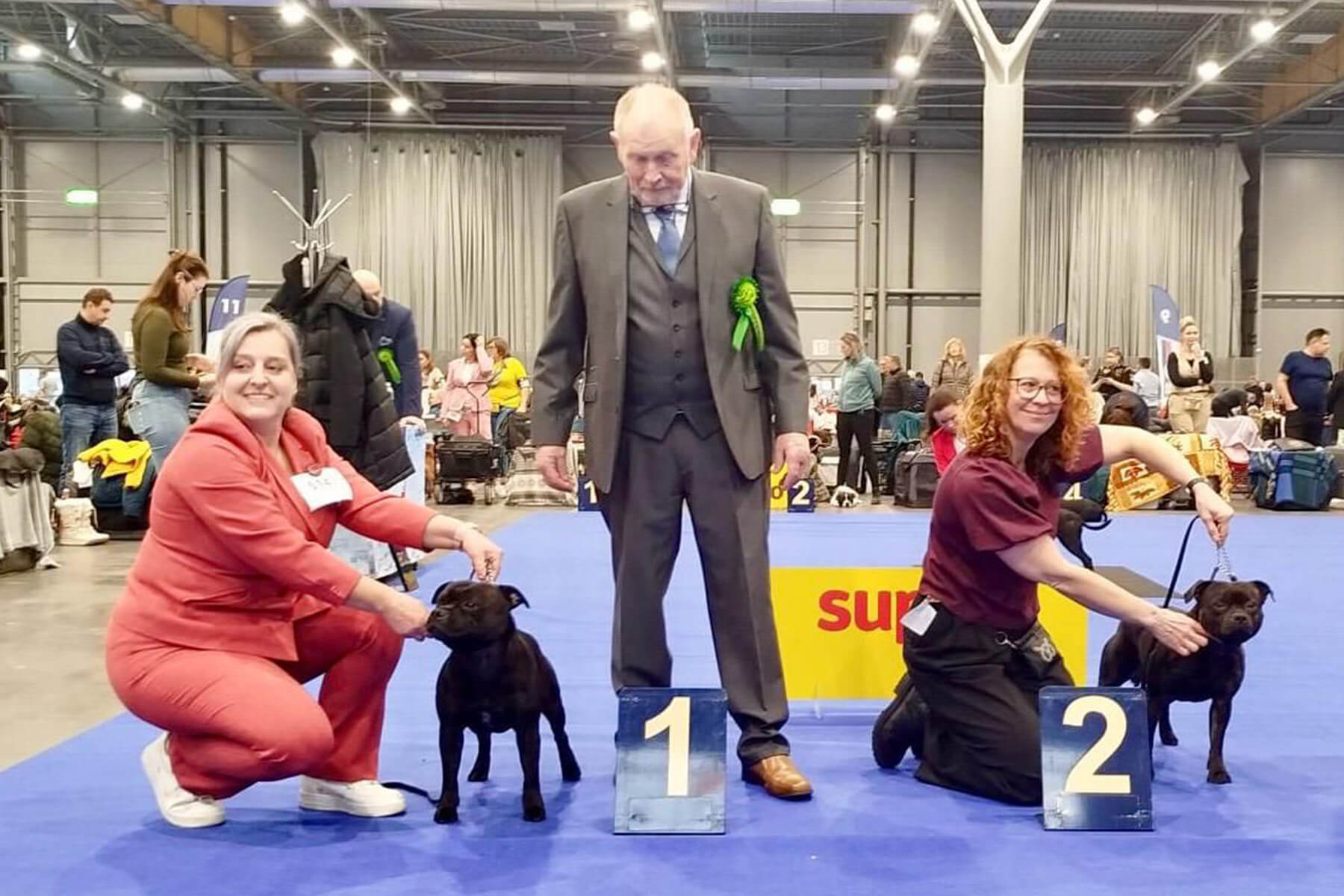 DOMIDAR DOGS – DUO CACIB, Brno