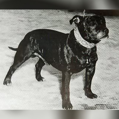 1952 - Pal of Aveth, C.D.