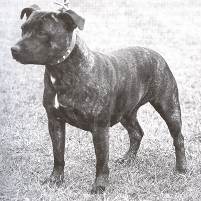 1957 - Fiona Beauty