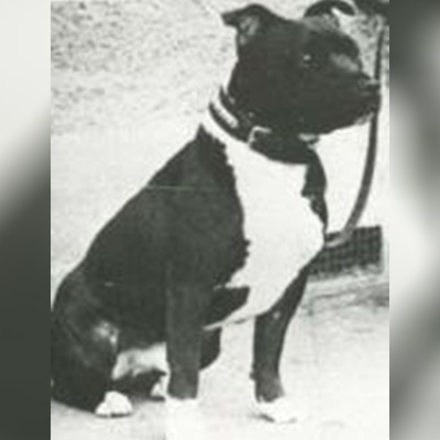 1958 - Brinstock Glenaglow