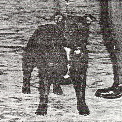 1959 - Gentleman Bruce